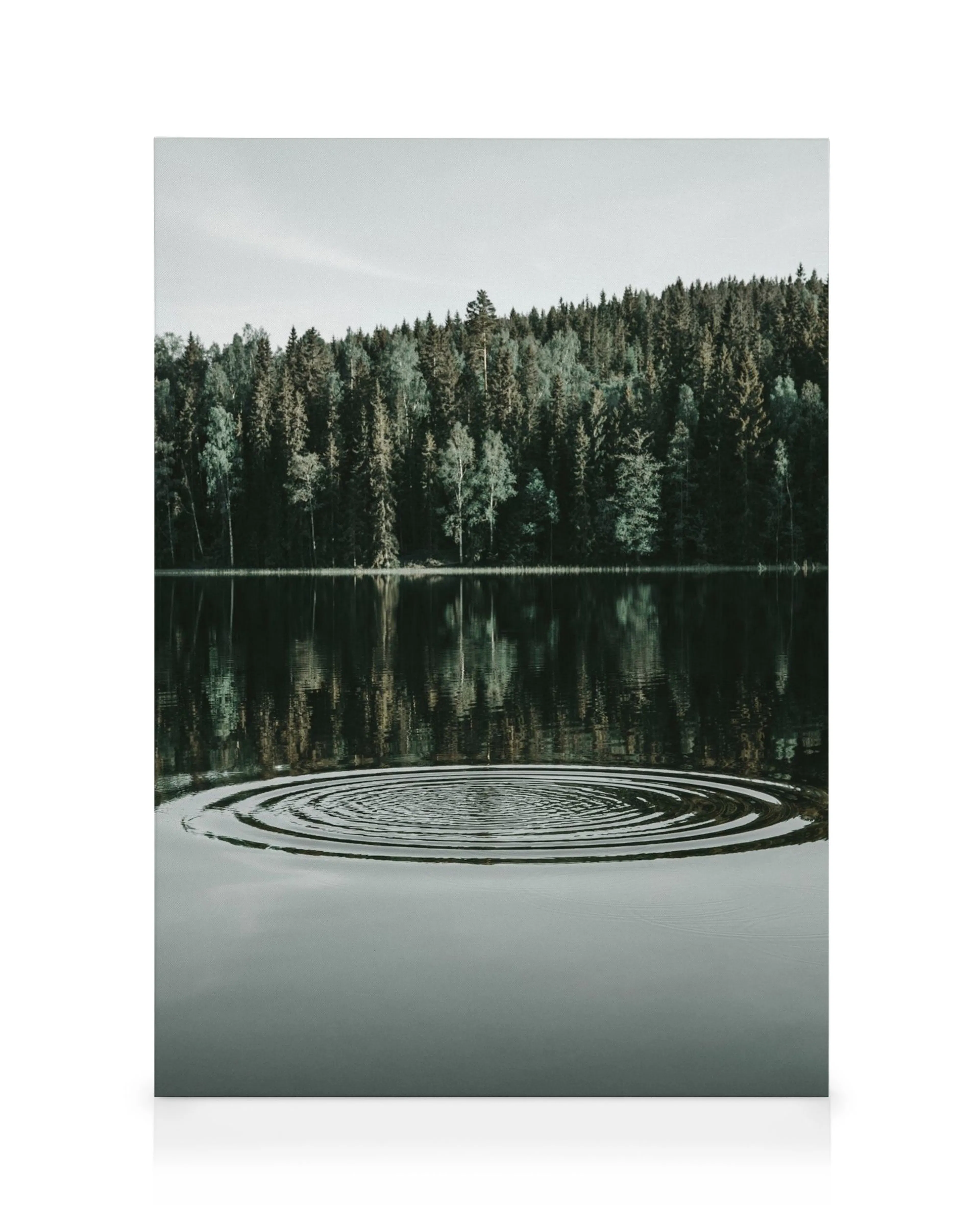 Leinwandbild mit einem ruhigen See, der einen dunklen Wald und Wellen im Wasser spiegelt.