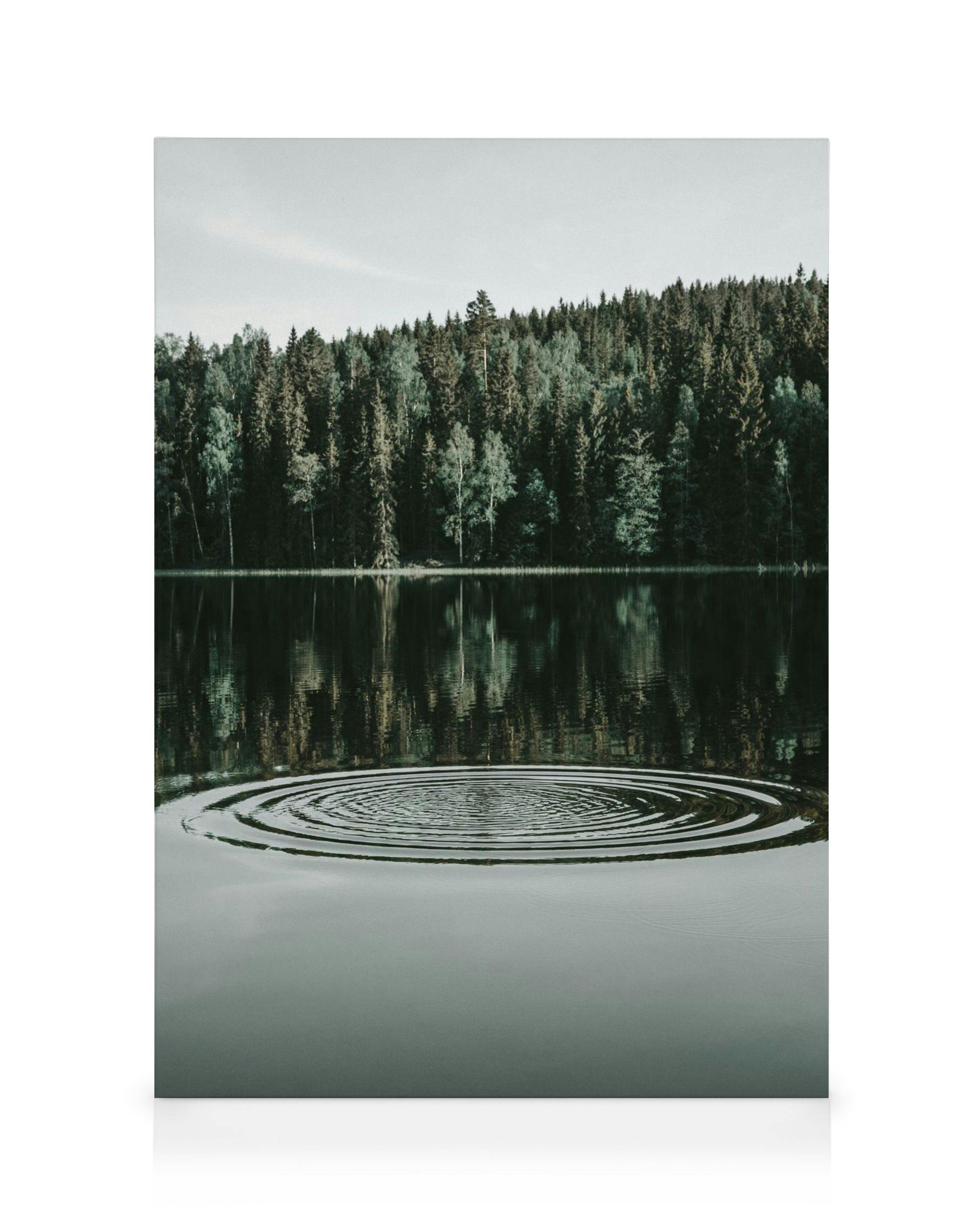 Lienzo de un sereno lago reflejando árboles verdes oscuros con un cielo claro y ondas concéntricas en el agua.