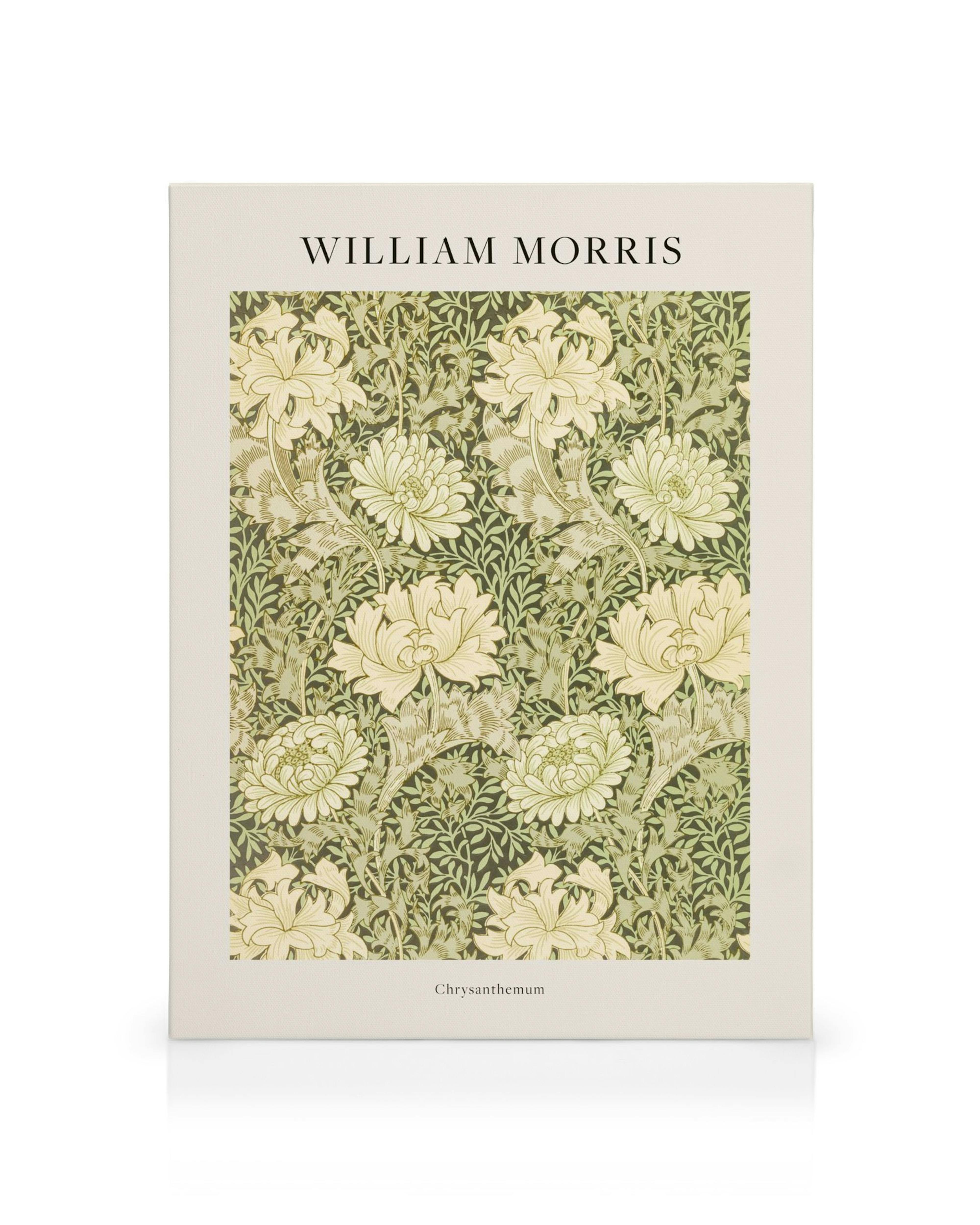 William Morris Chrysanthemum floral canvas print with cream flowers and green leaves on a dark background.