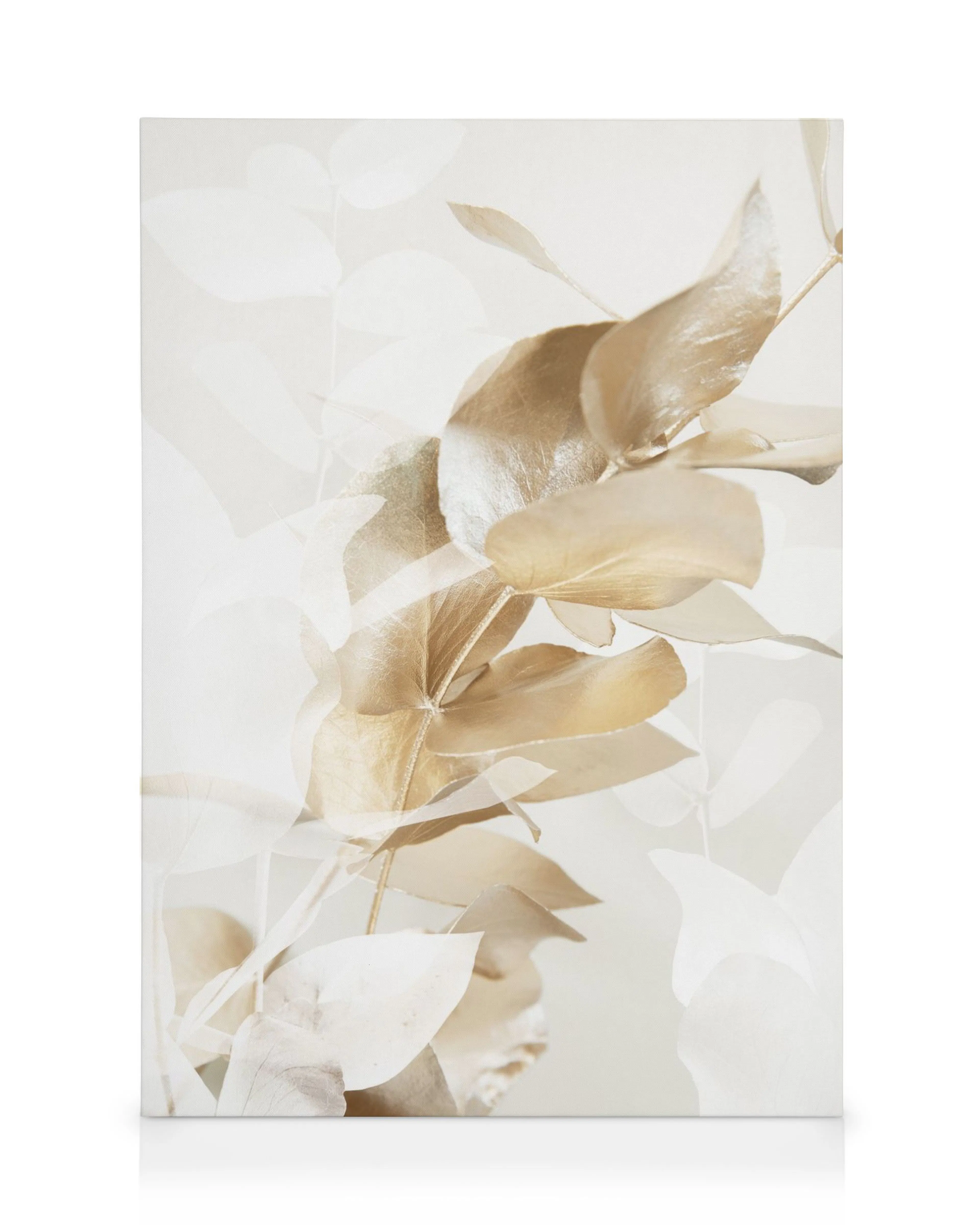 Golden Eucalyptus No1 canvas print, a close-up of golden eucalyptus leaves against a light background, creating a serene botanic