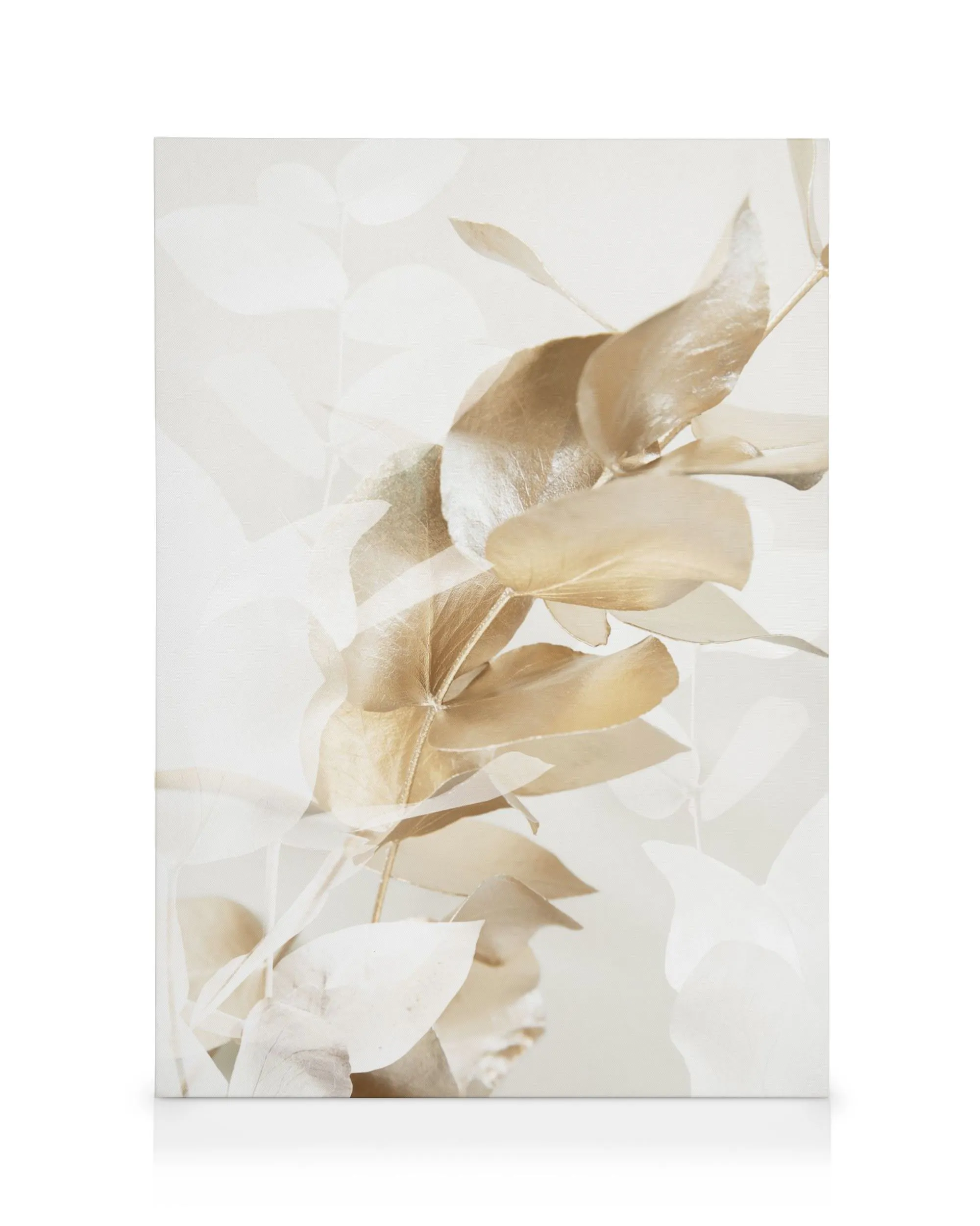 Zlatý eukalyptus na plátne, detail listov vo svetlých, krémových a zlatých tónoch, moderný rastlinný motív.