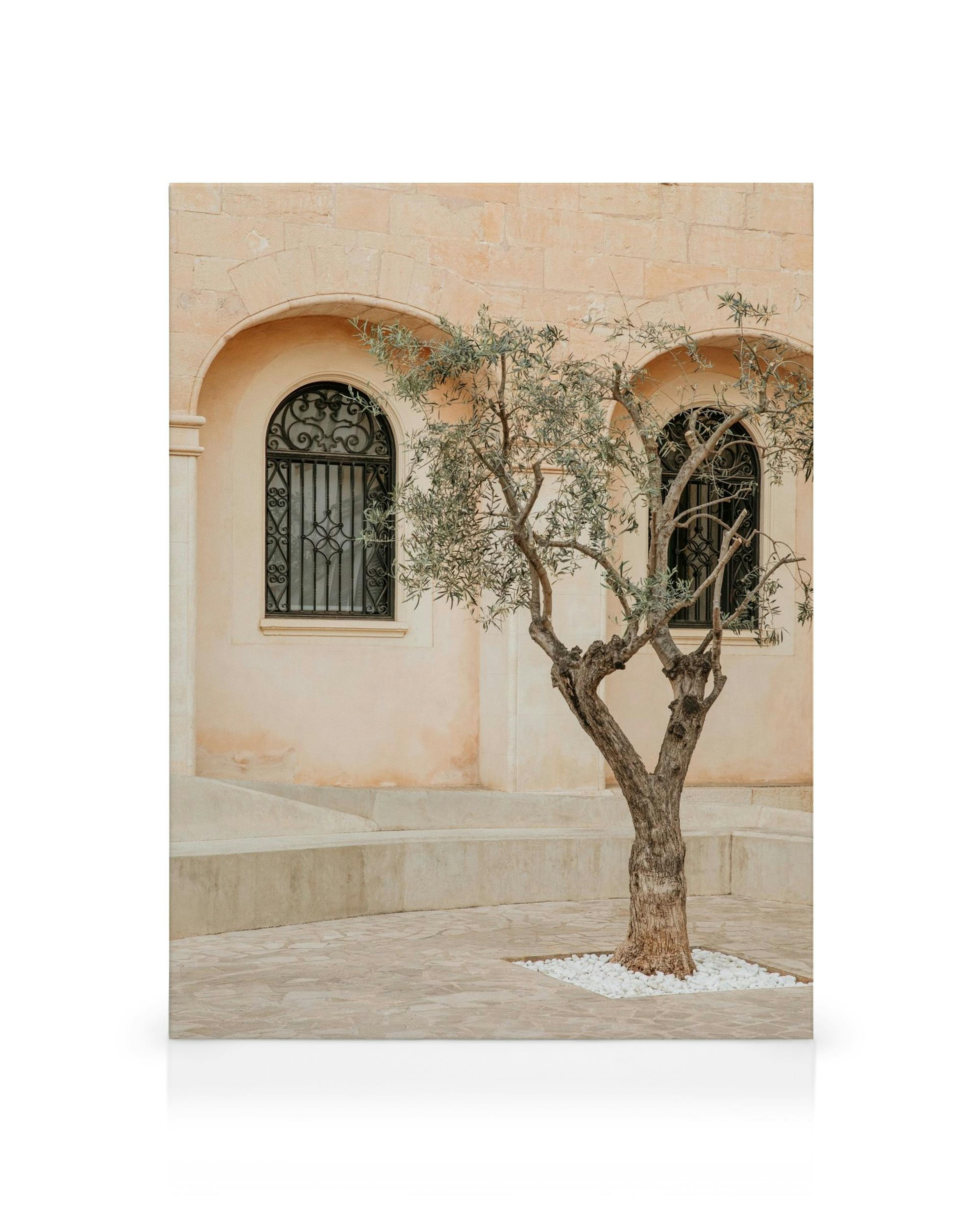 Leinwandbild mit Olivenbaum vor cremefarbener mediterraner Fassade, schmiedeeisernen Fenstergittern und hellem Steinboden.