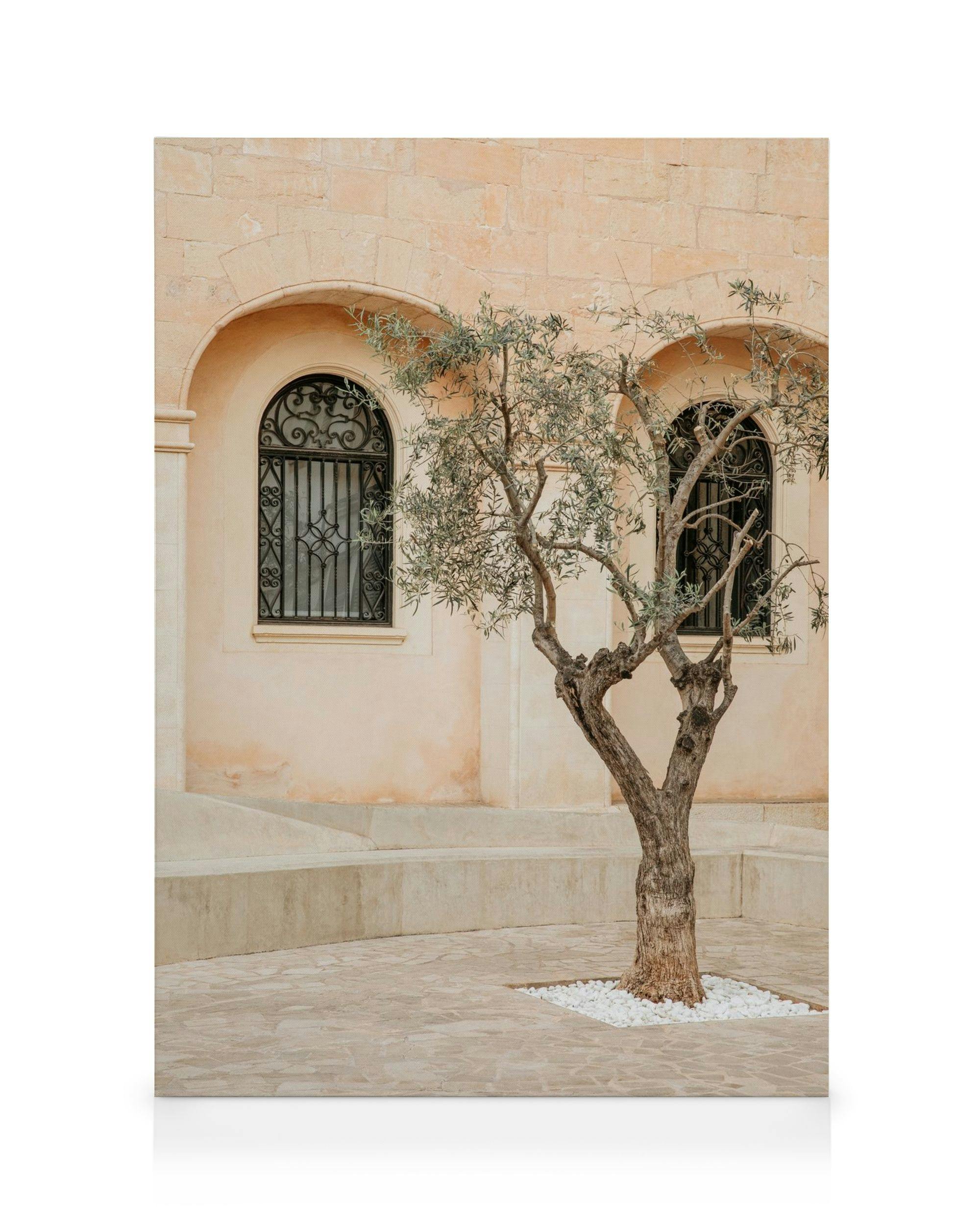 Canvastavlor Lonely Olive Tree Canvastavla (50x70 cm - Svart ram)