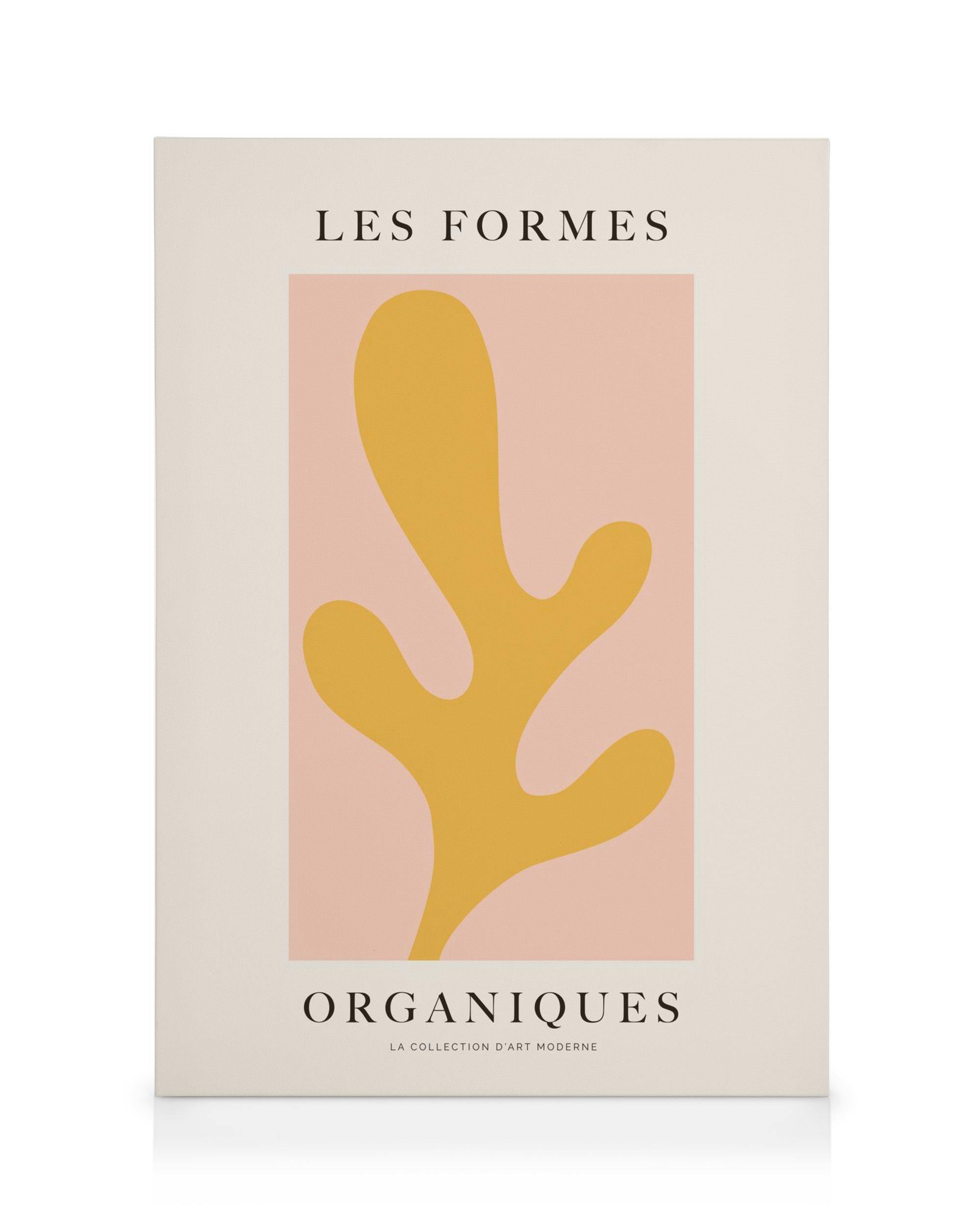Les Formes Organiques Canvas (50x70 cm)