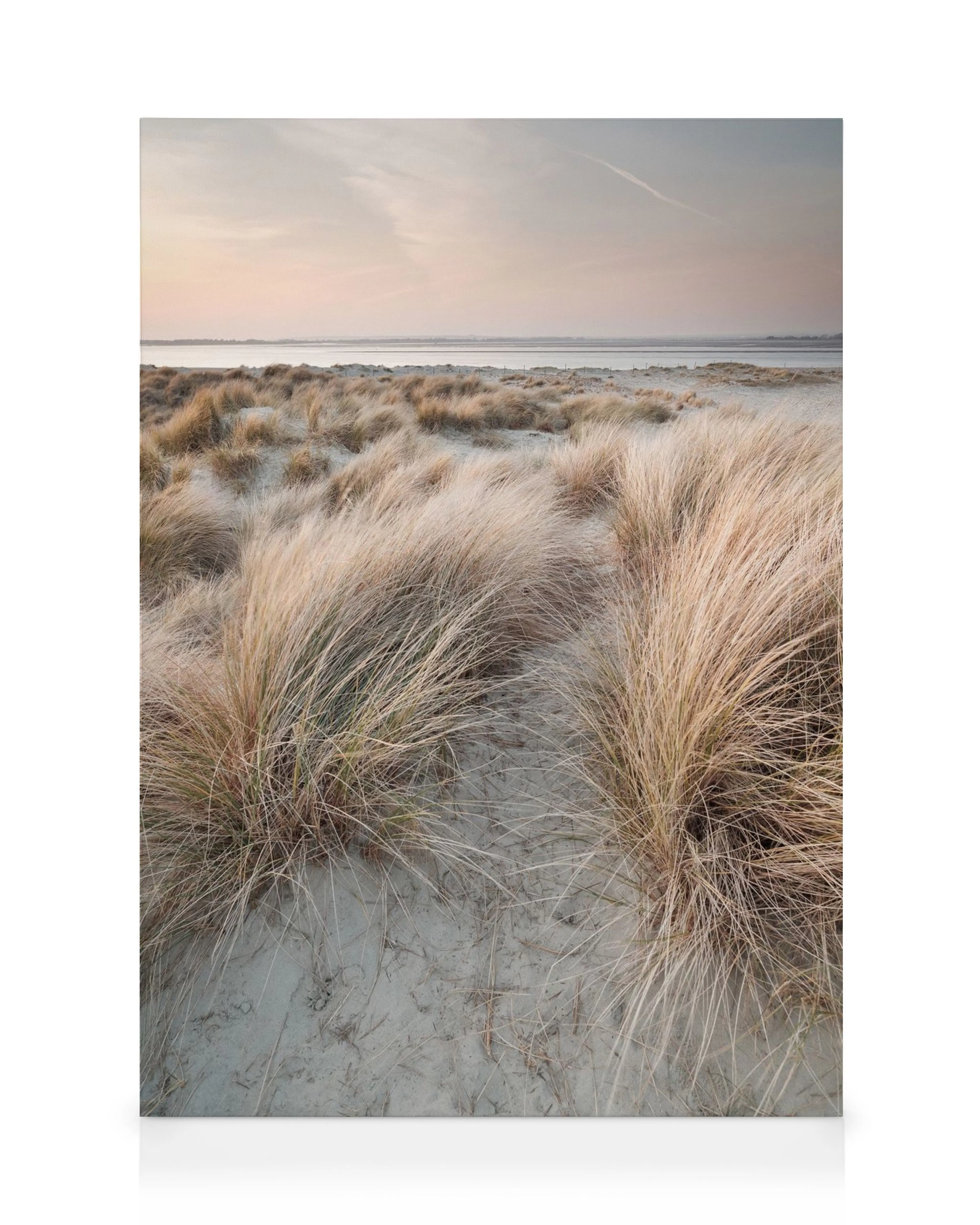 Calm sand dunes canvas print with tall grass on a sandy beach under a pale sky.
