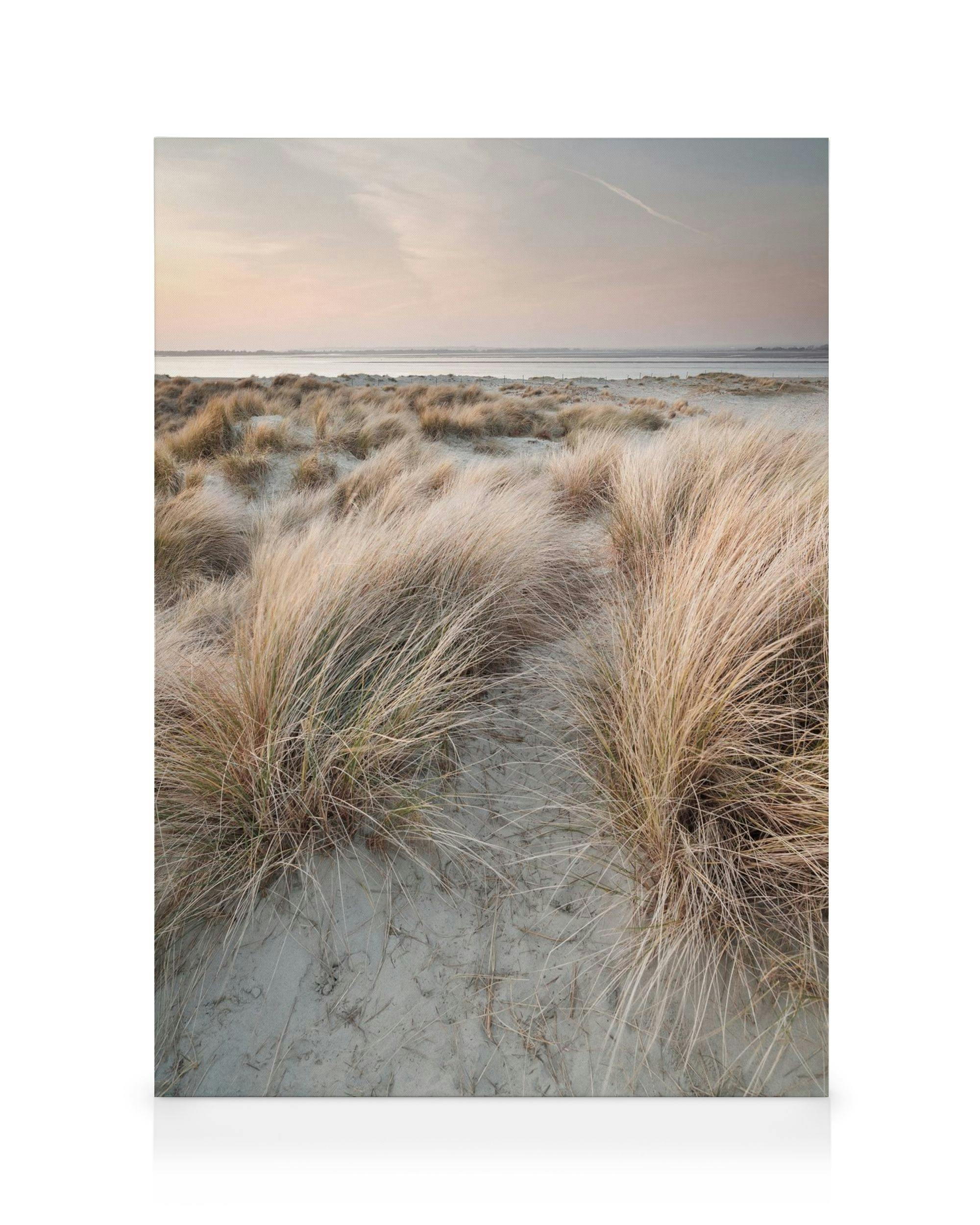 Lienzo con dunas de arena, hierba alta y un cielo azul pálido y rosa.