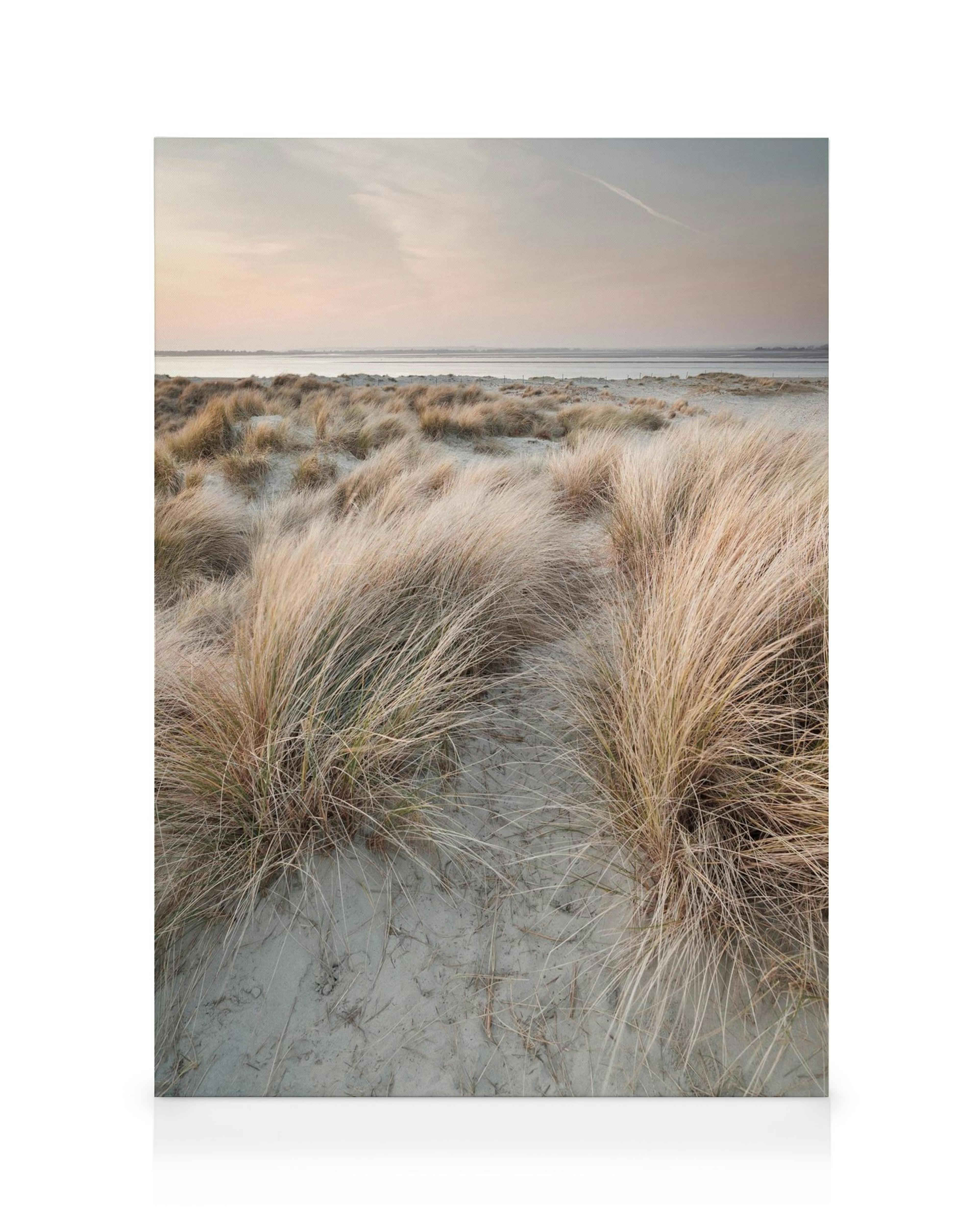 Lienzo con dunas de arena, hierba alta y un cielo azul pálido y rosa.