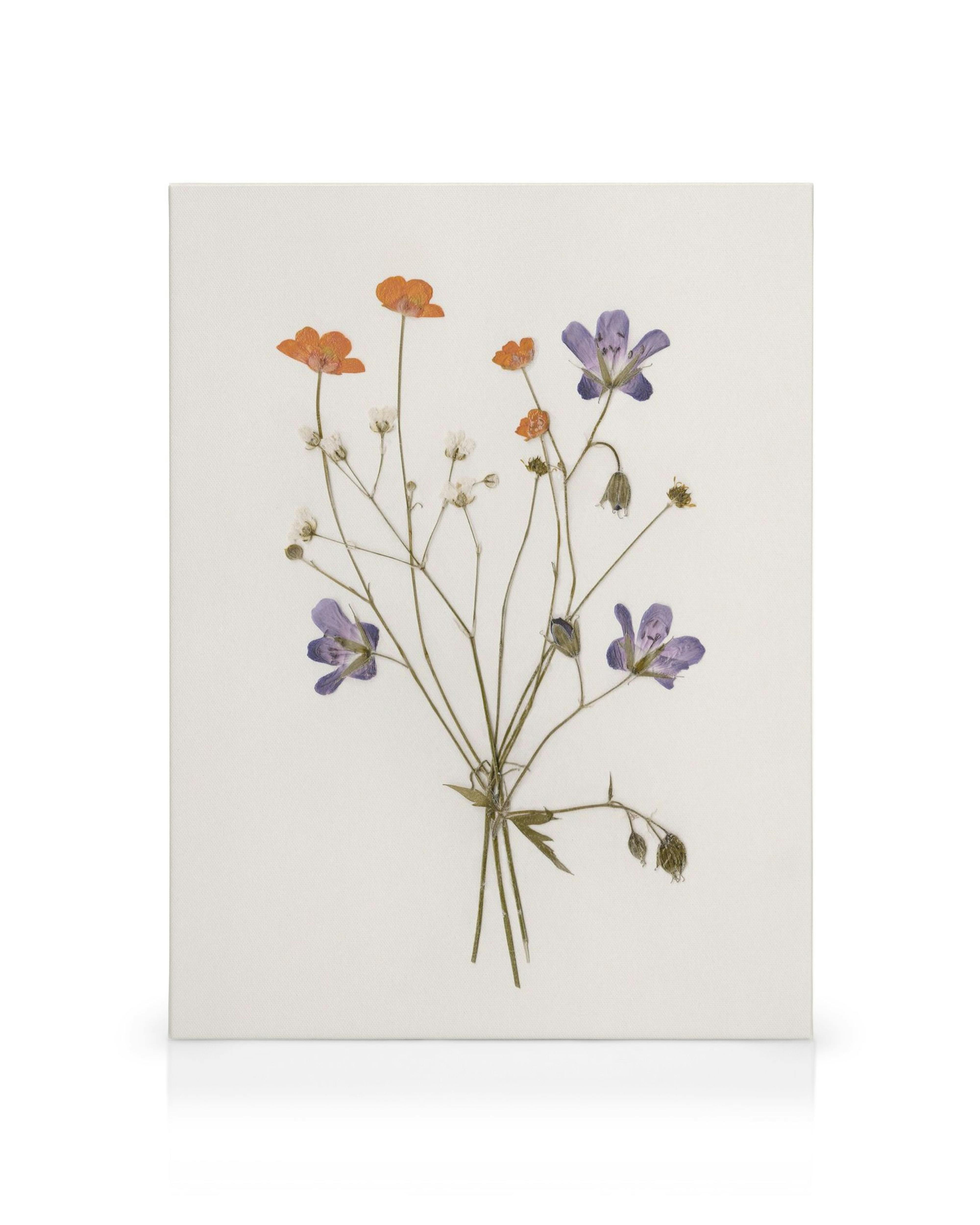Stampa su tela con fiori pressati arancioni e viola su sfondo bianco, stile botanico per decorazione murale.