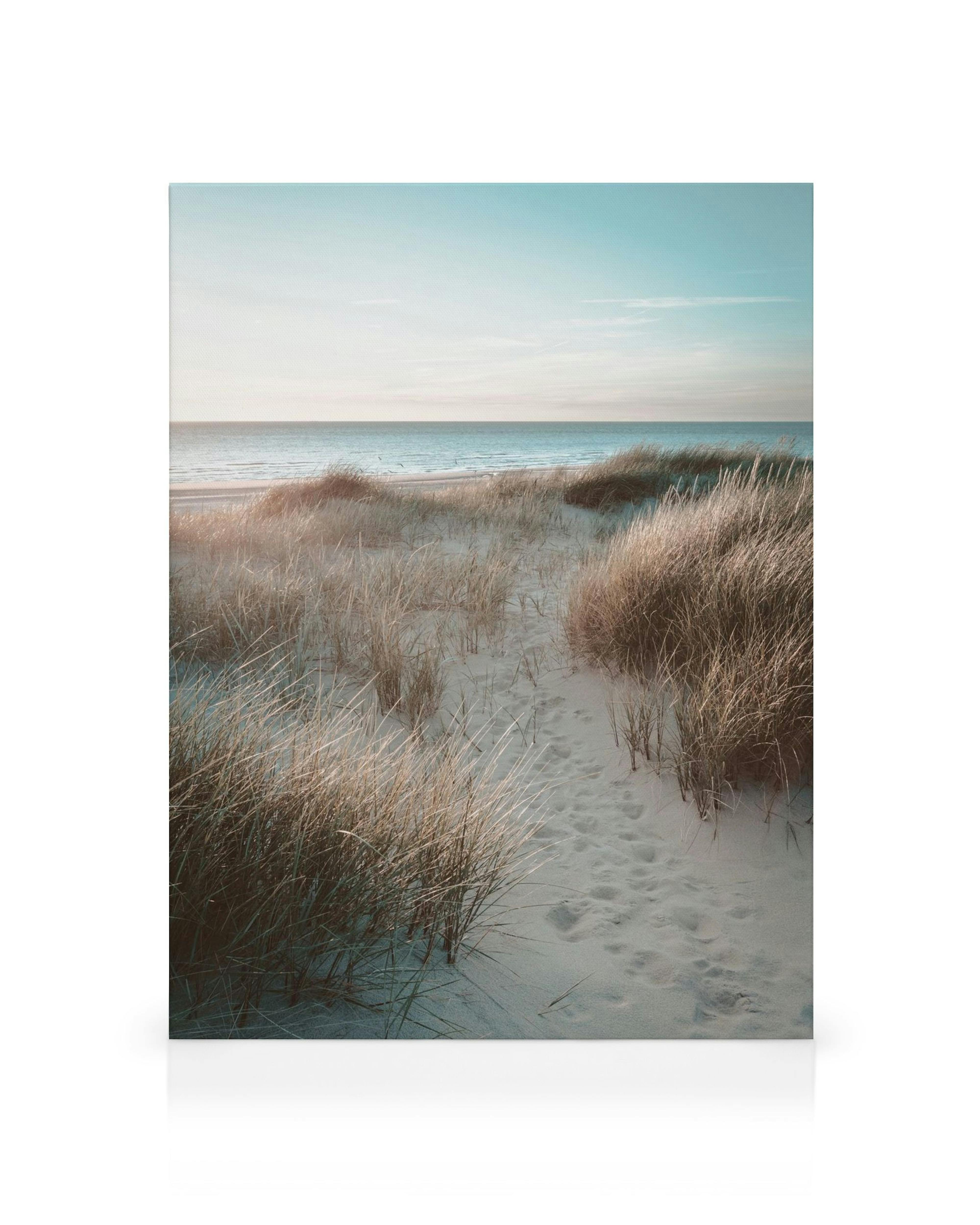 Obraz na plátne: piesočná duna s trávou pri pláži, more pod oblohou pri západe slnka.