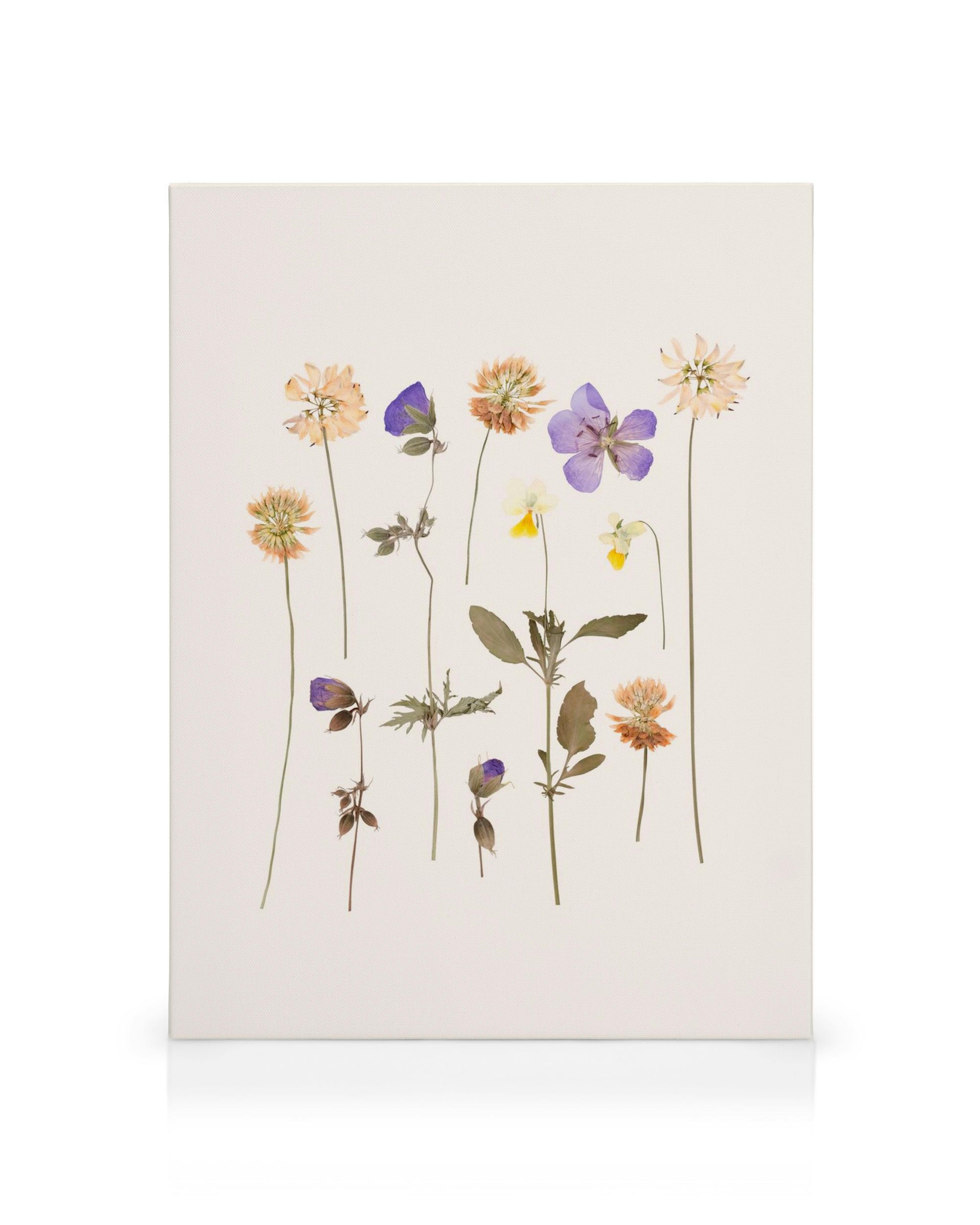 Gepresste Blumen Leinwandbild, neun vertikale Blumen in Orange, Lila, Gelb, Blau auf hellem Hintergrund