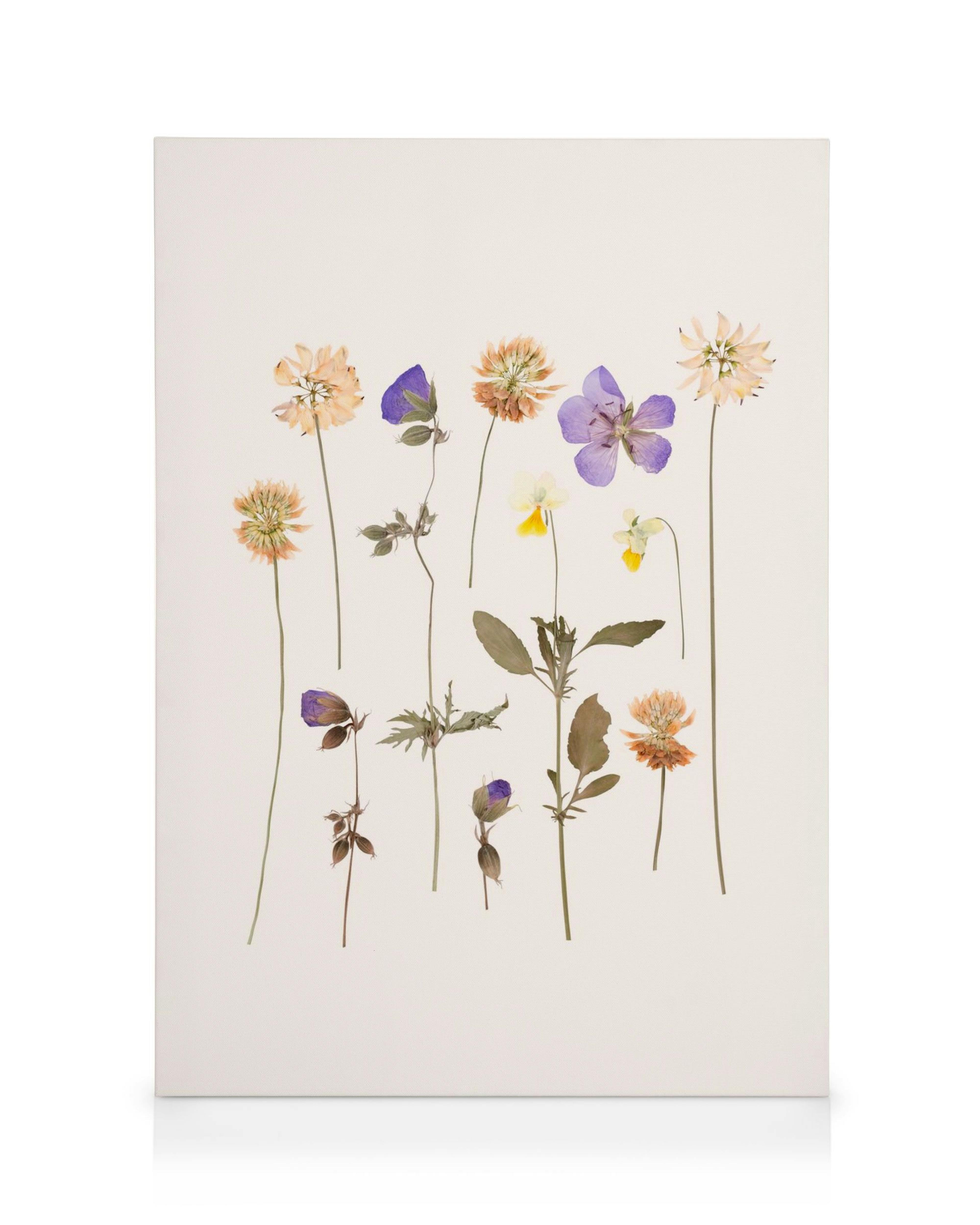 Gepresste Blumen Leinwandbild, neun vertikale Blumen in Orange, Lila, Gelb, Blau auf hellem Hintergrund