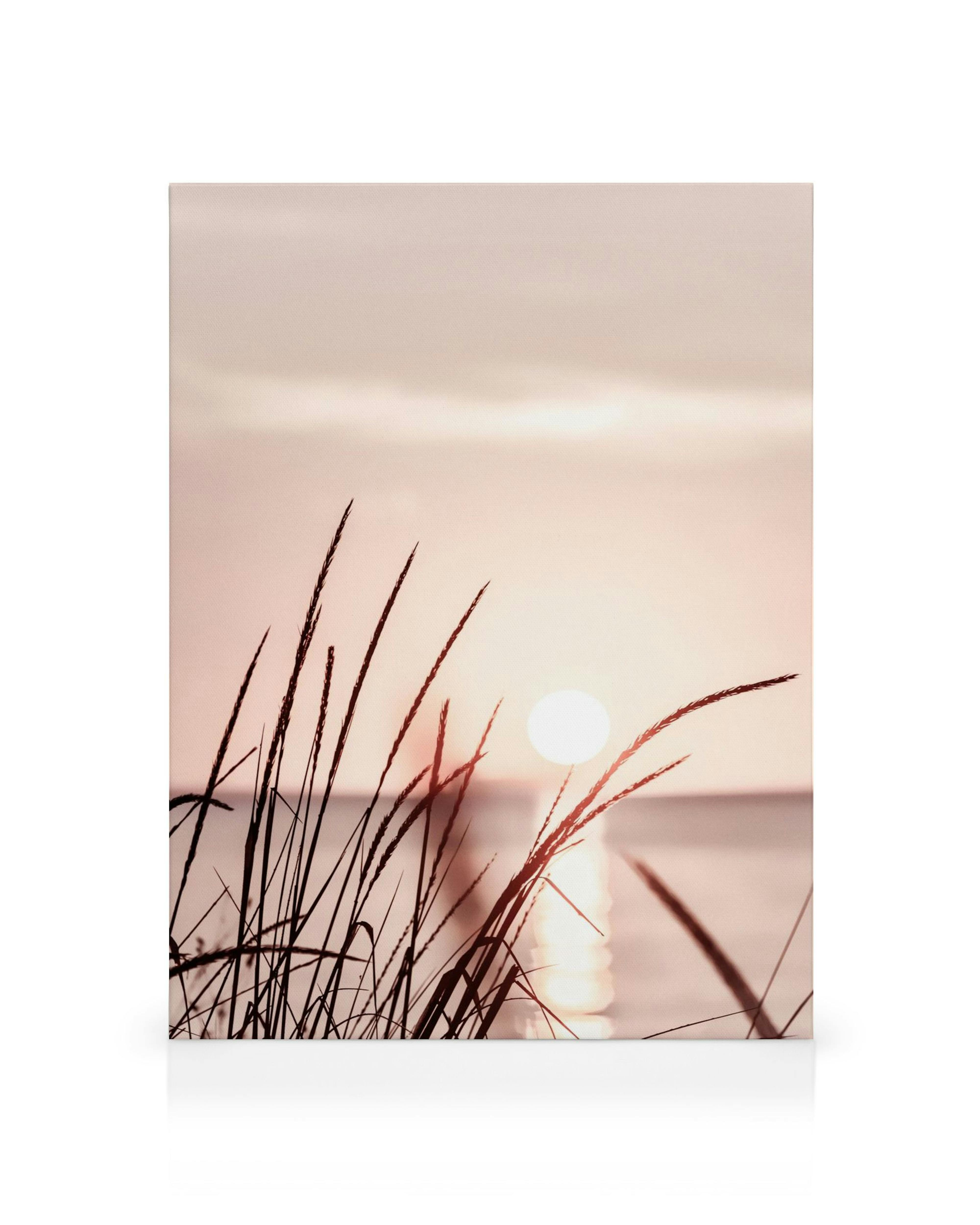Leinwandbild mit rosa Sonnenuntergang, Gras-Silhouetten am Meer, ruhige Naturlandschaft, pastellfarben