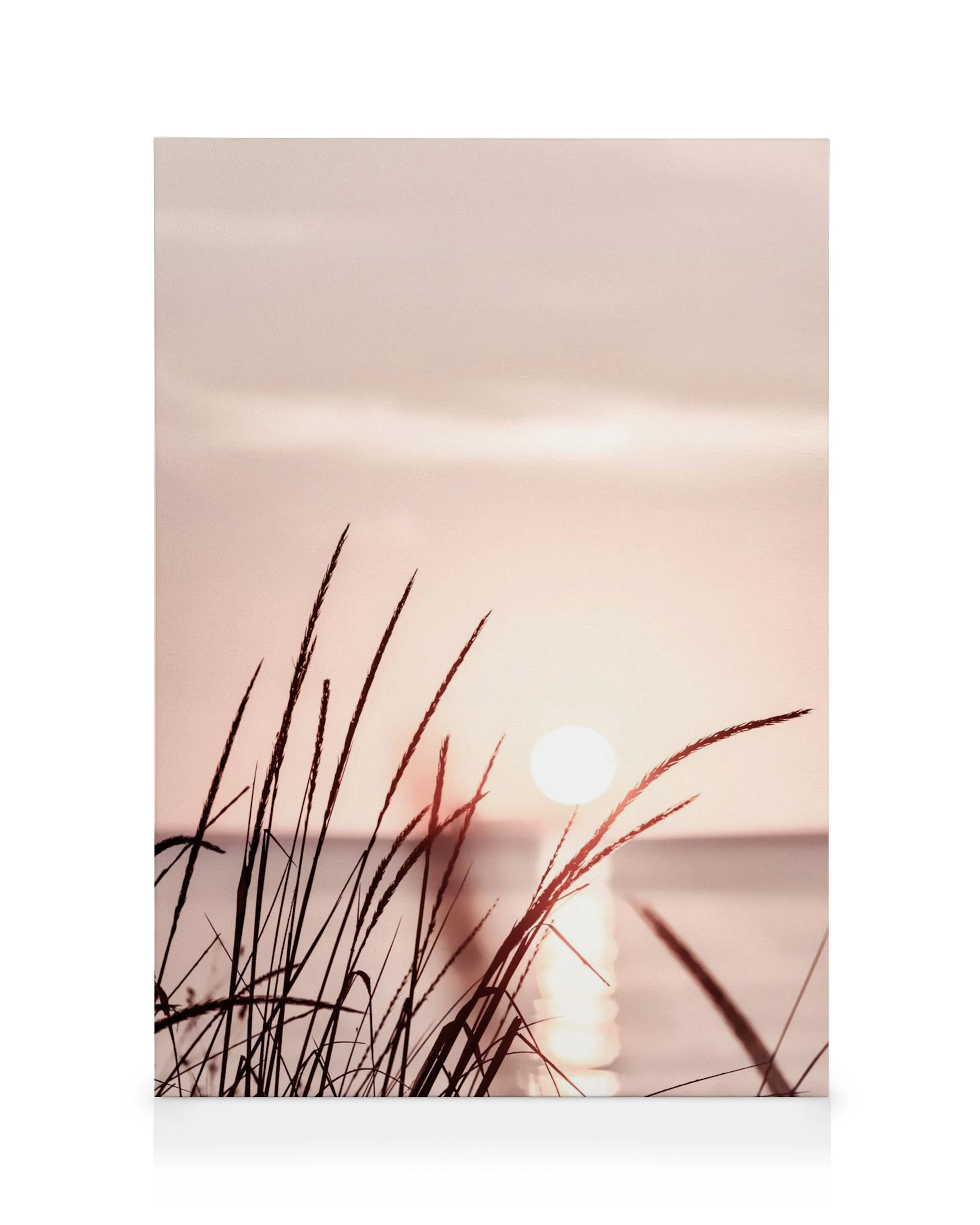 Toile de coucher de soleil rose orangé avec herbes en silhouette et reflets dans leau calme
