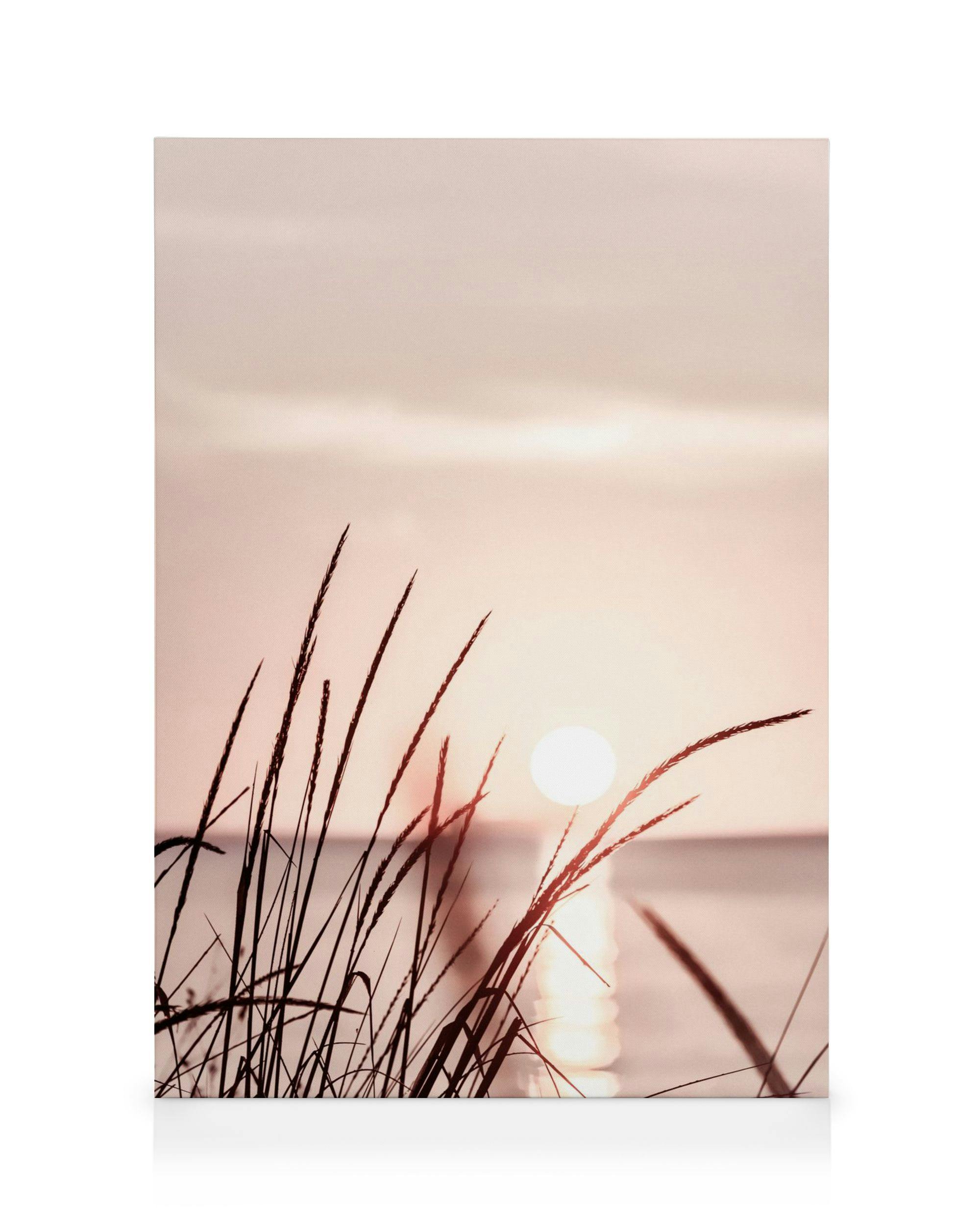 Auringonlaskun kanvaasi, jossa korkeat ruohonkorset heijastavat auringonlaskua veden yllä, luoden rauhoittavan maiseman.