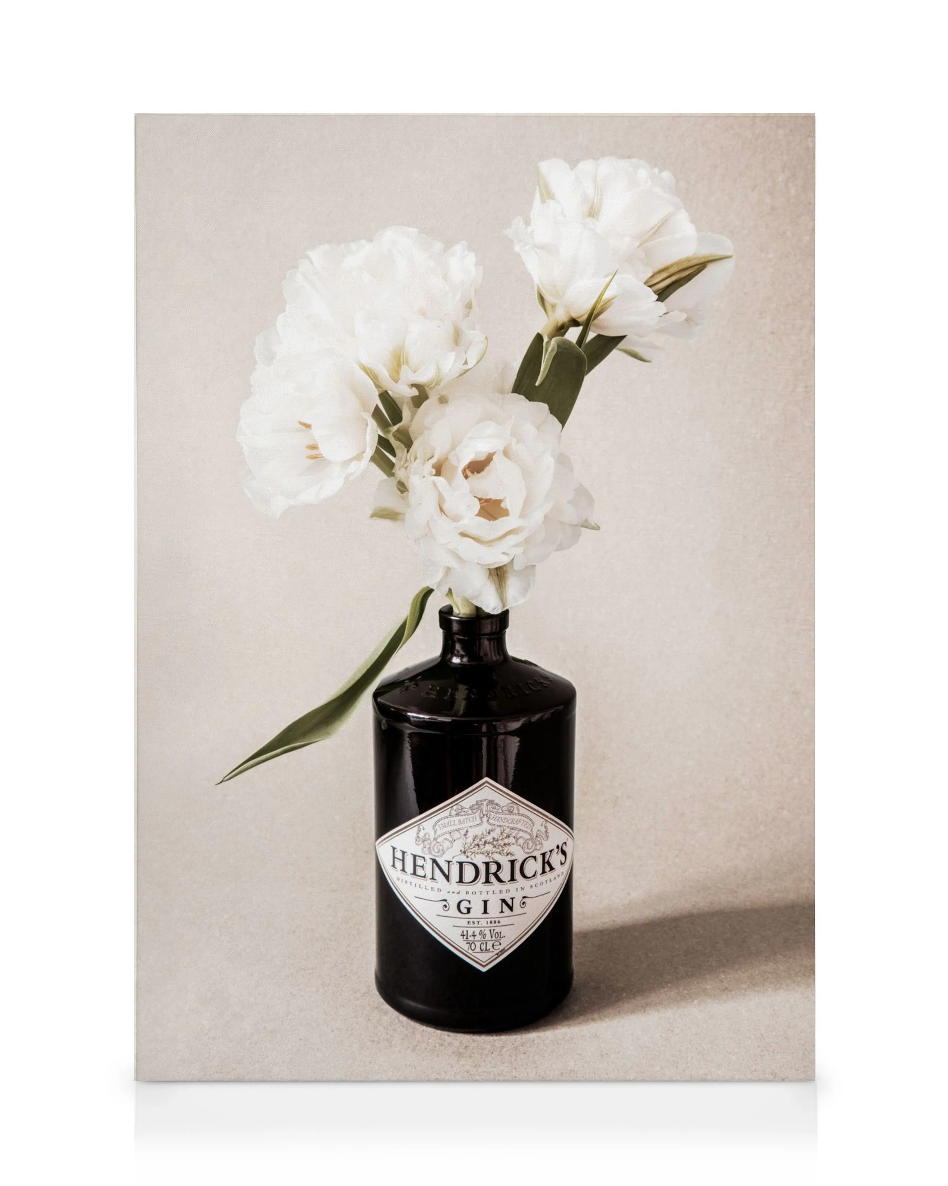 Toile élégante avec une bouteille de gin noire utilisée comme vase, tenant des fleurs blanches sur un fond beige.
