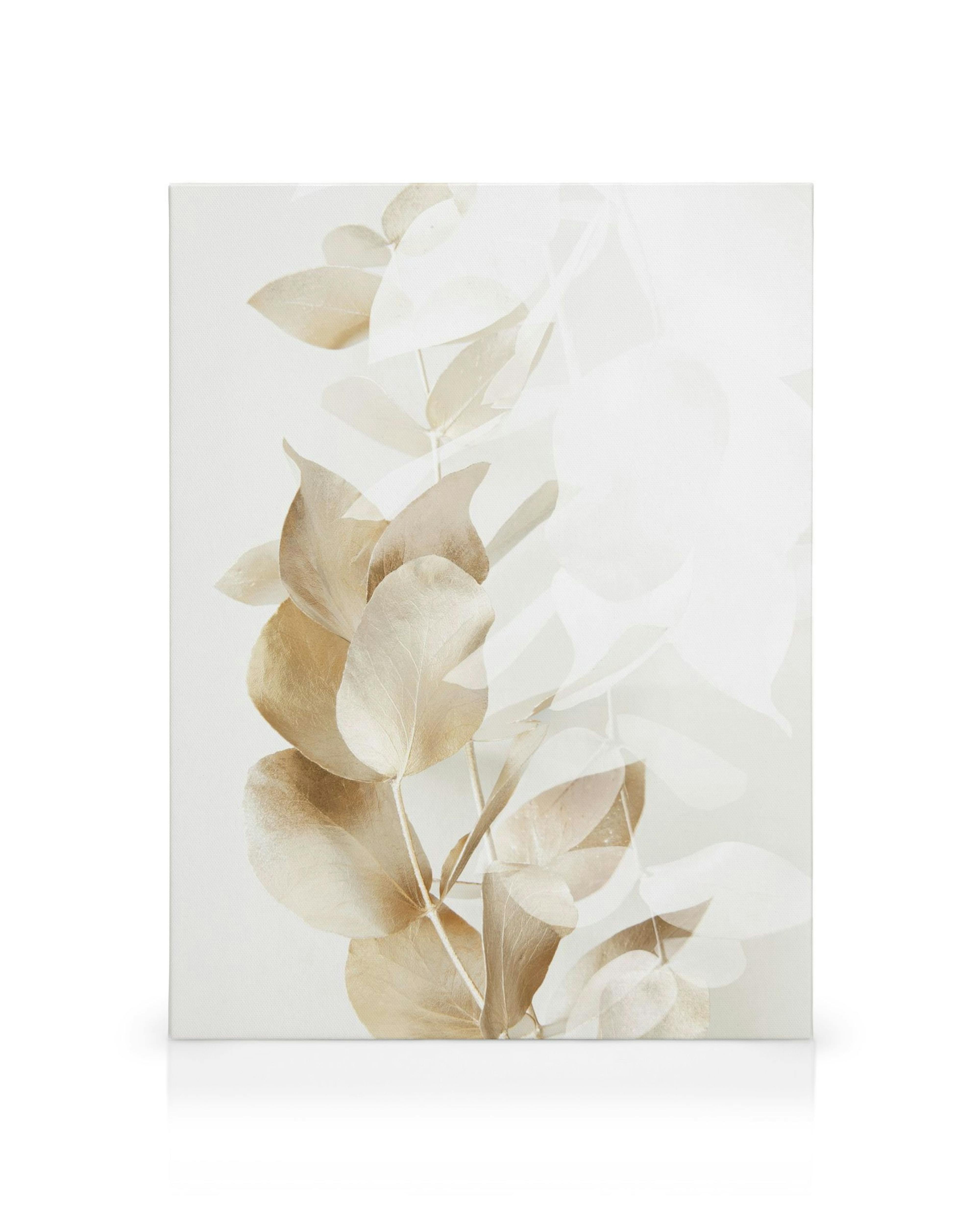 Φωτογραφία κλαδιών ευκαλύπτου σε χρυσό και λευκό, σε μπεζ φόντο, για εσωτερική διακόσμηση.