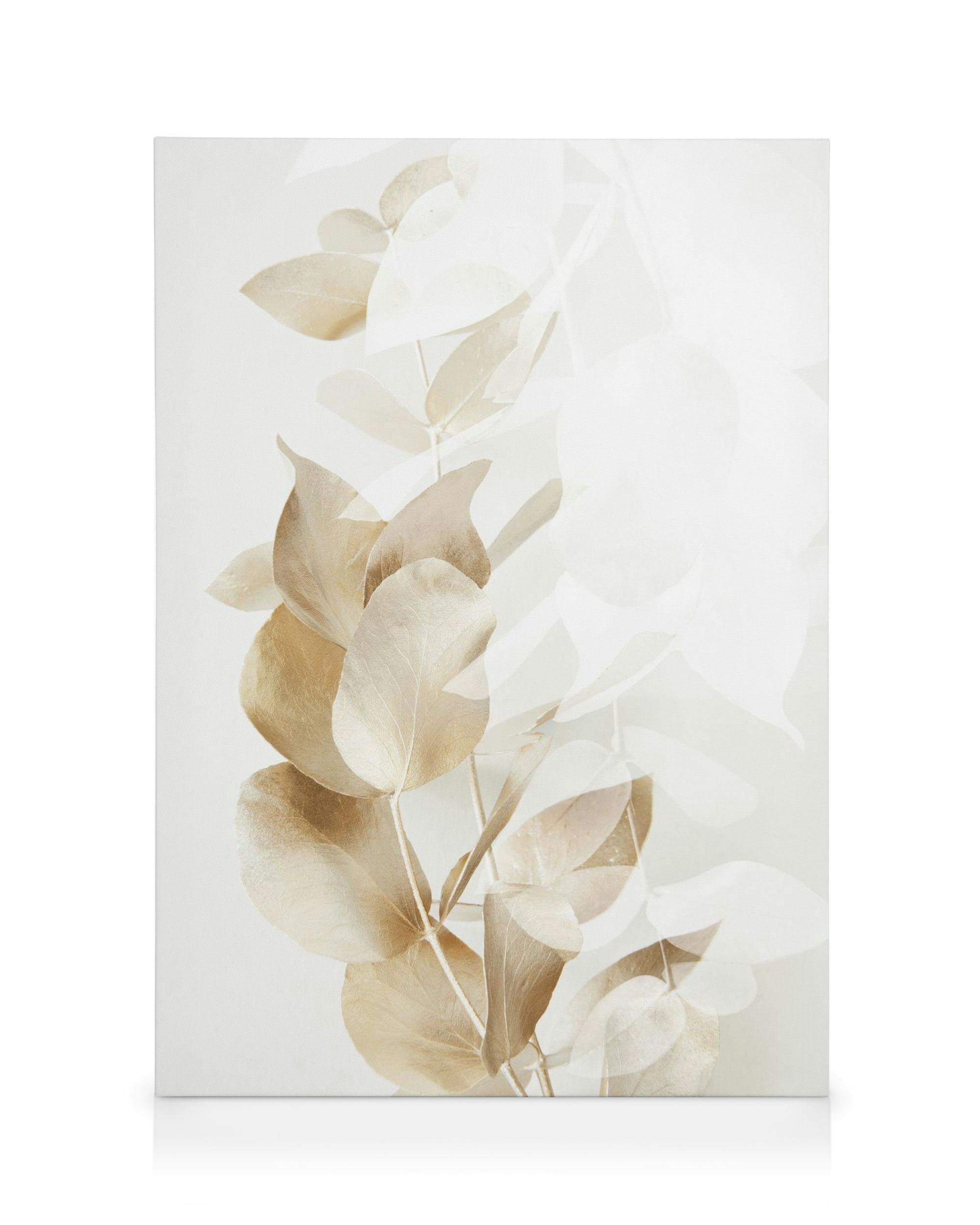 Golden eucalyptus branches on a beige background, a botanical canvas print.
