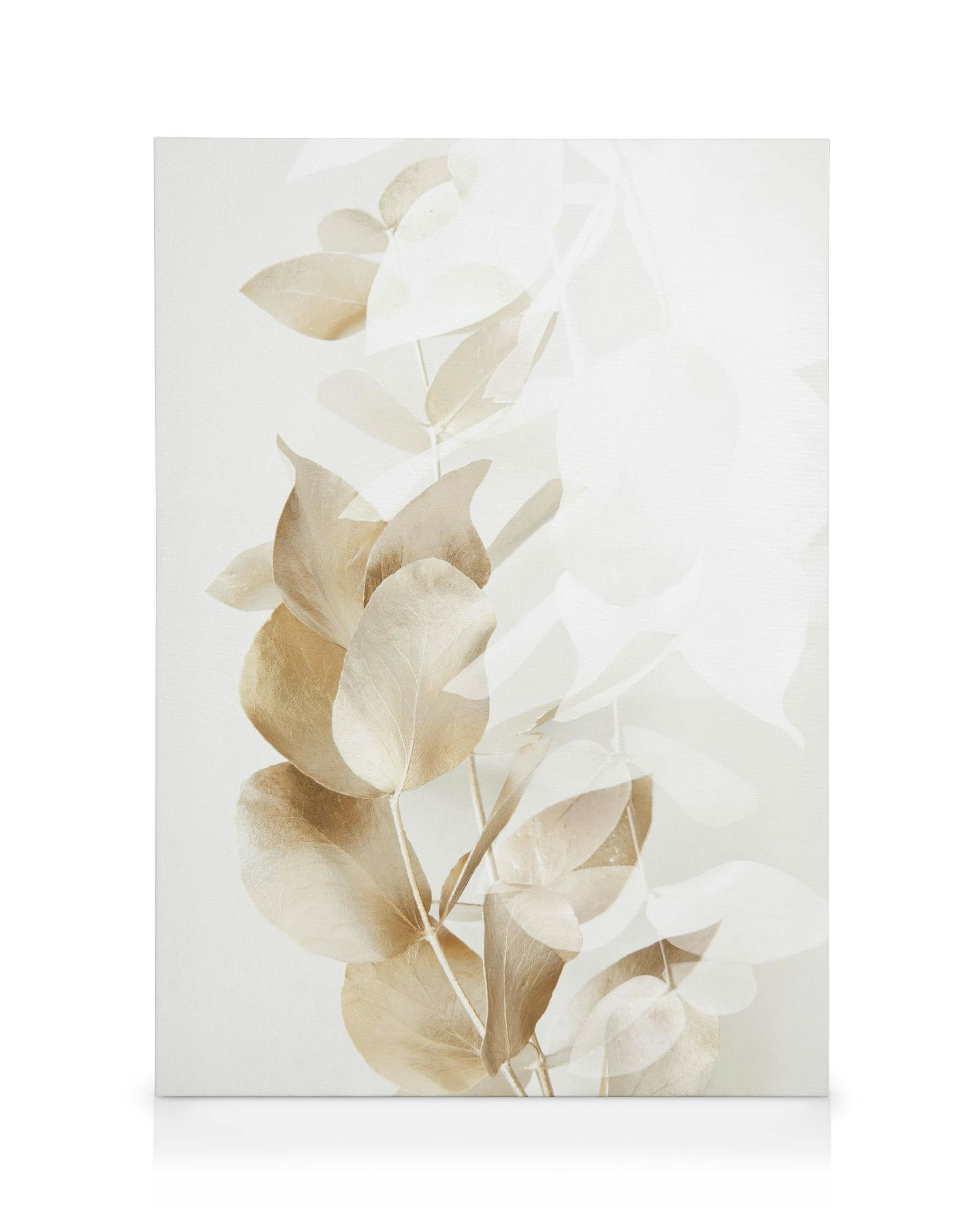 Golden eucalyptus branches on a beige background, a botanical canvas print.