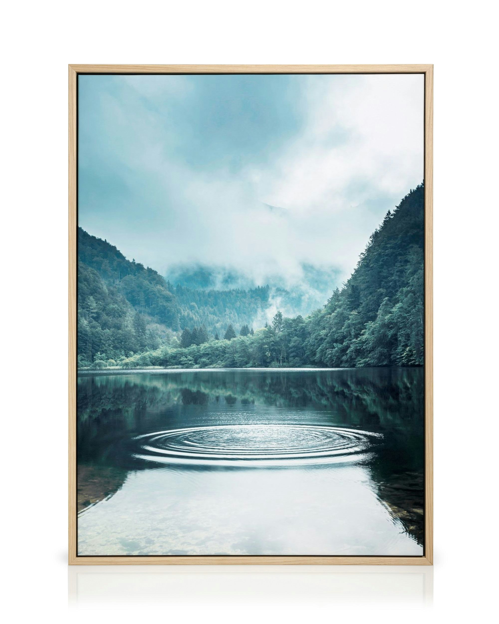 Stampa Su Tela Con Colibrì – Quadro Moderno Per Soggiorno, Camera O Ufficio – 50x40 Cm