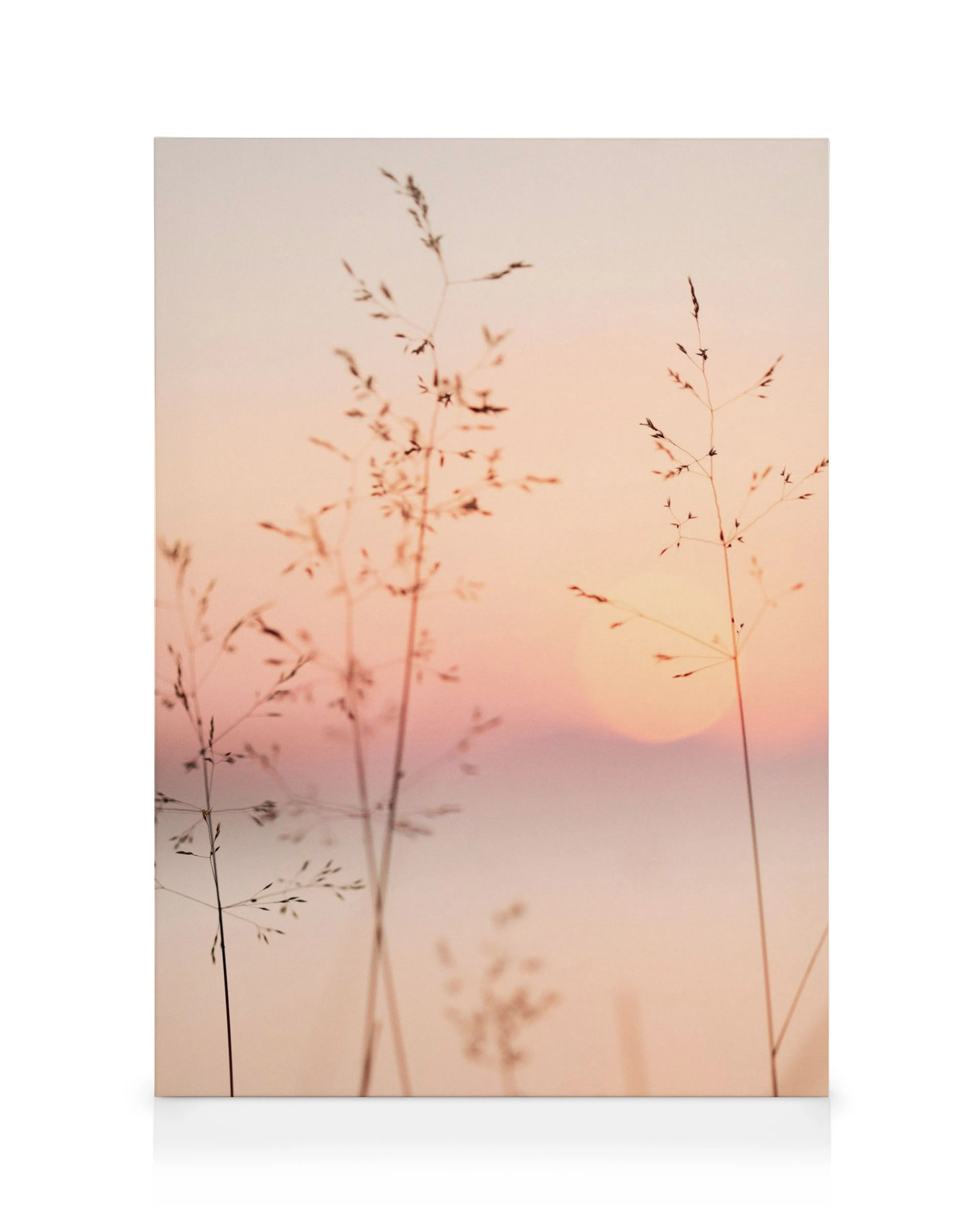 Leinwandbild: Fotografie eines pastellfarbenen Sonnenuntergangs mit Grashalmen, die sich vor der untergehenden Sonne abzeichnen.