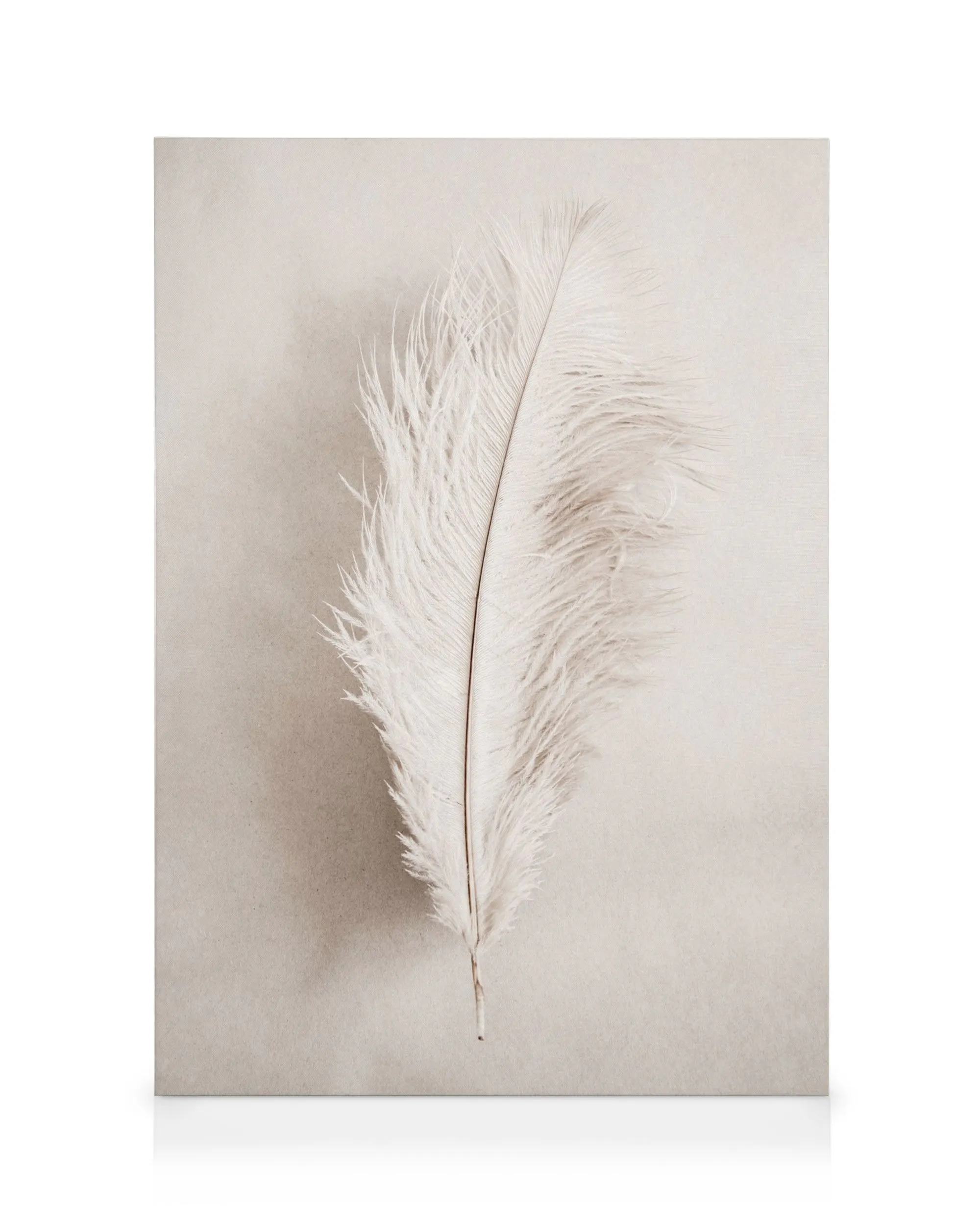 Stampa su tela con piuma bianca singola e delicata su sfondo beige chiaro, texture morbida ed elegante.