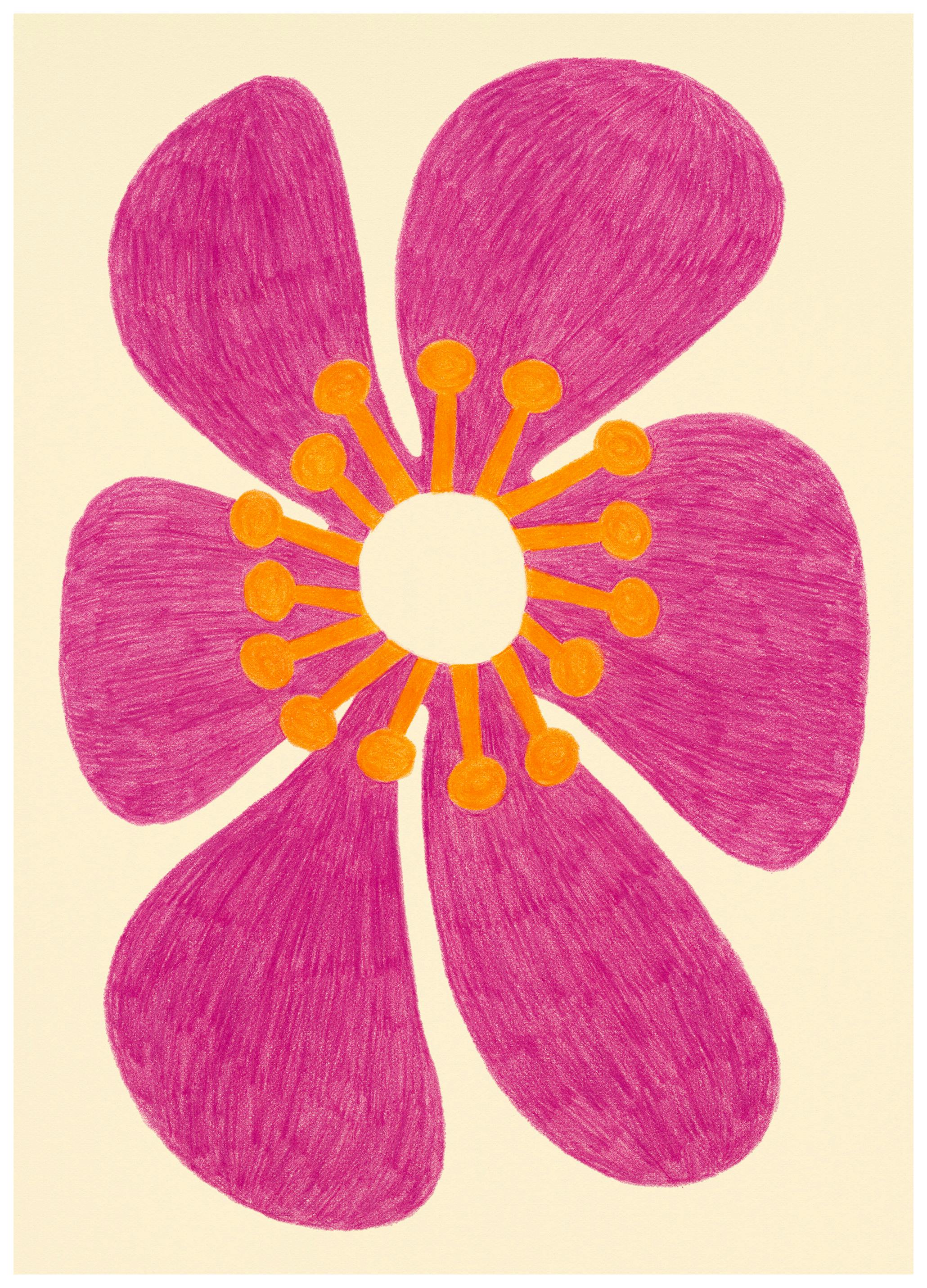 Sol Bloom Poster (50x70 cm) -  Illustrationen