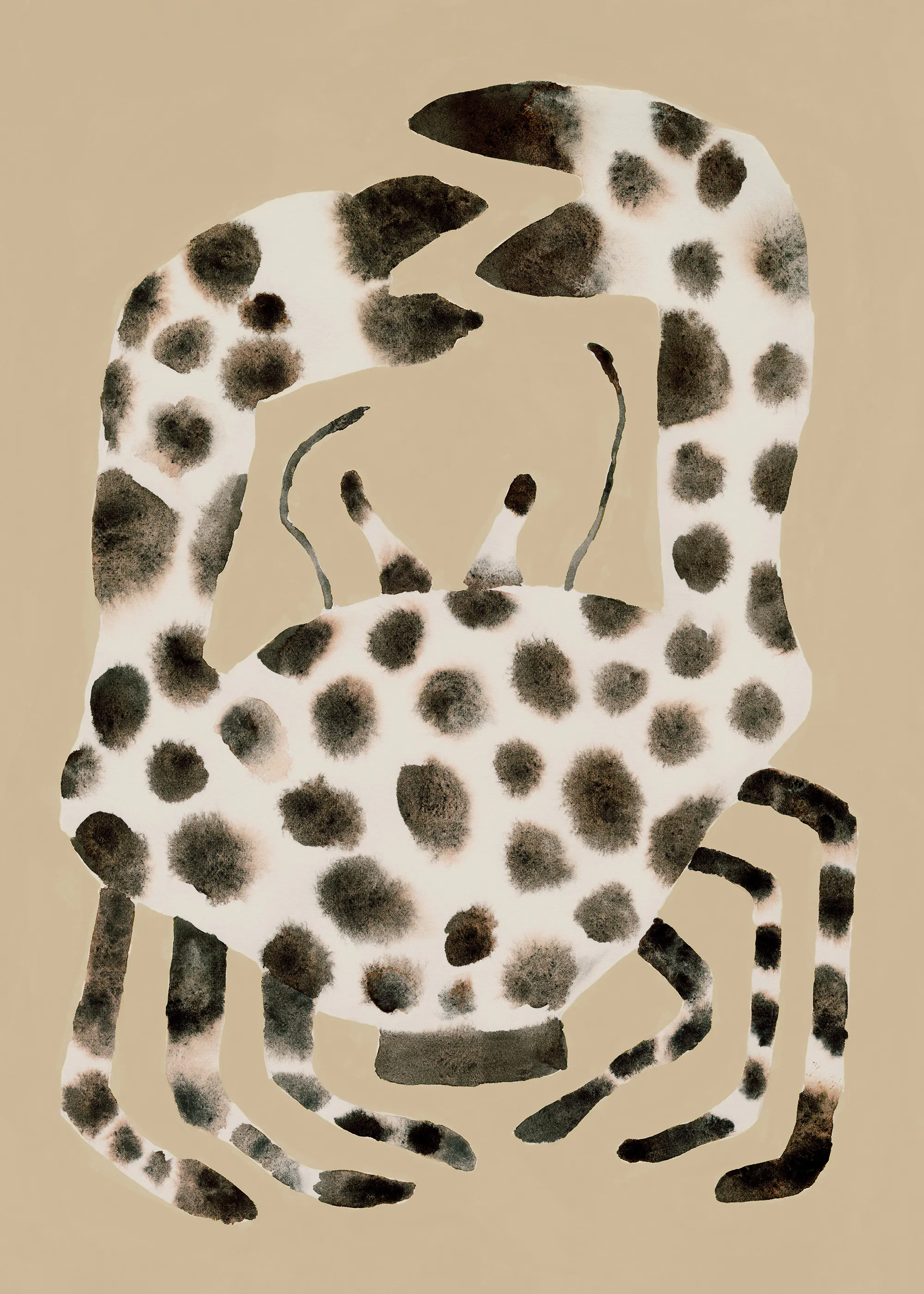 Spotted Crab Juliste 0
