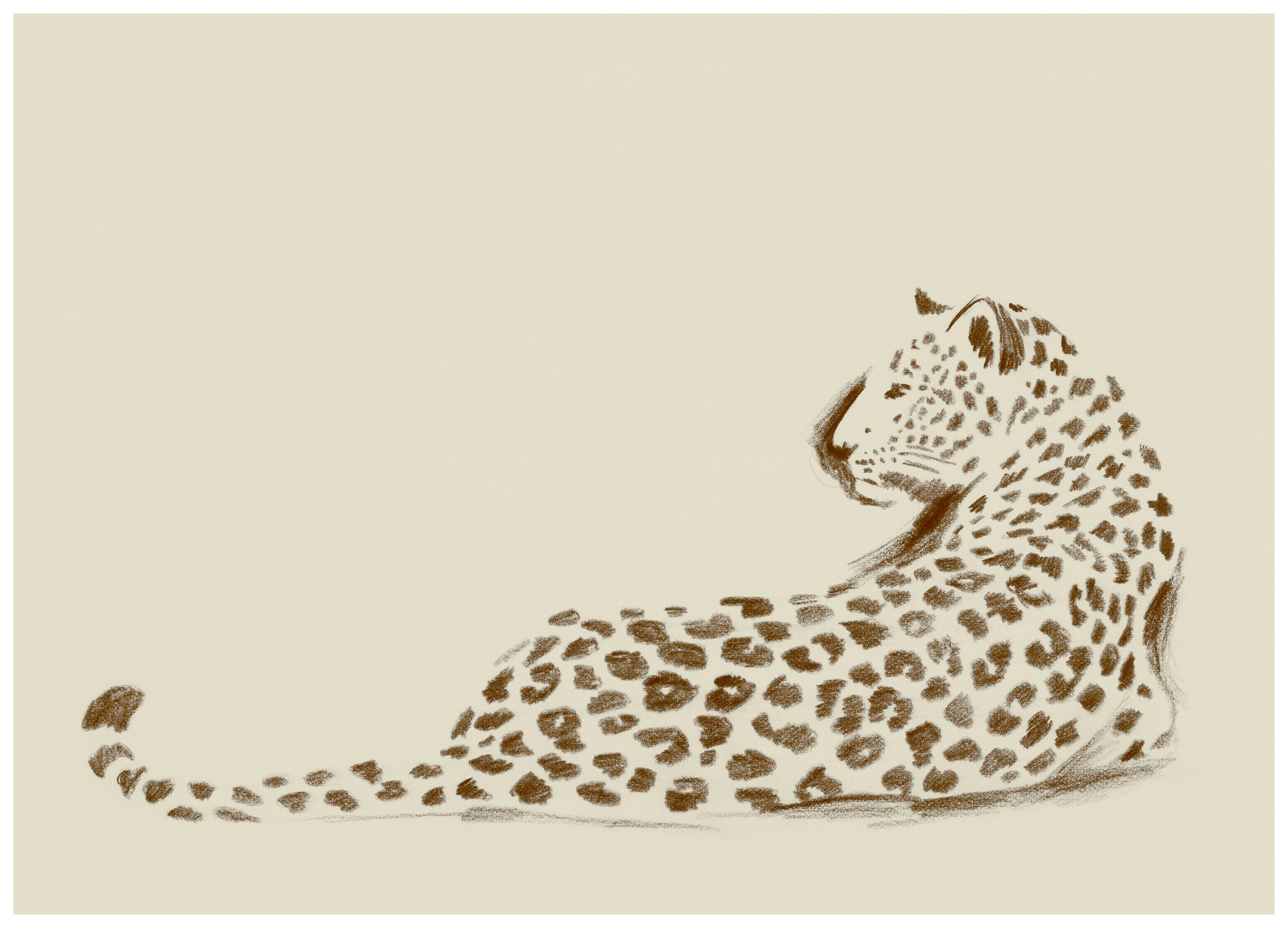 Wild Pause Poster (50x70 cm)