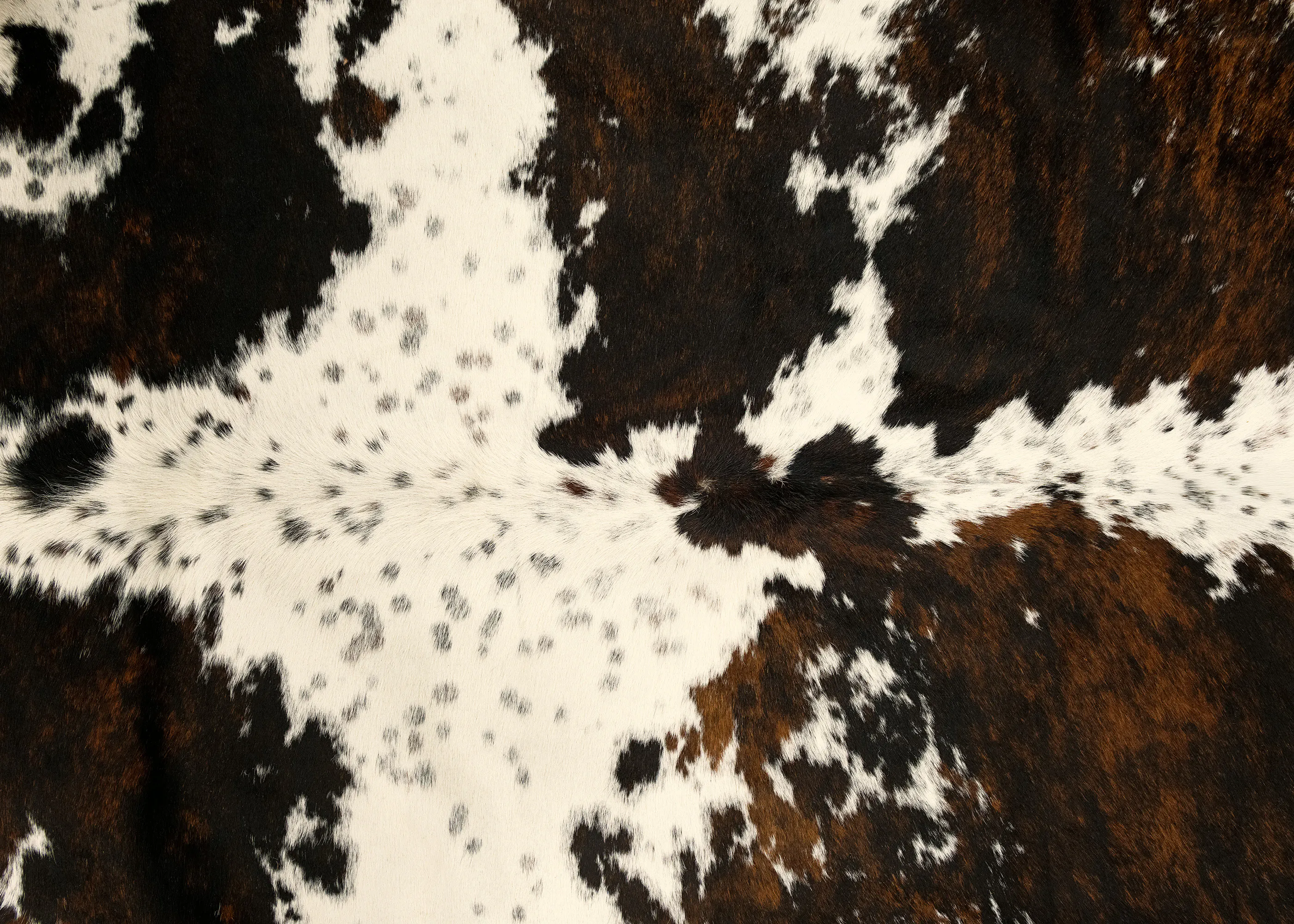 Cowhide Poster 0
