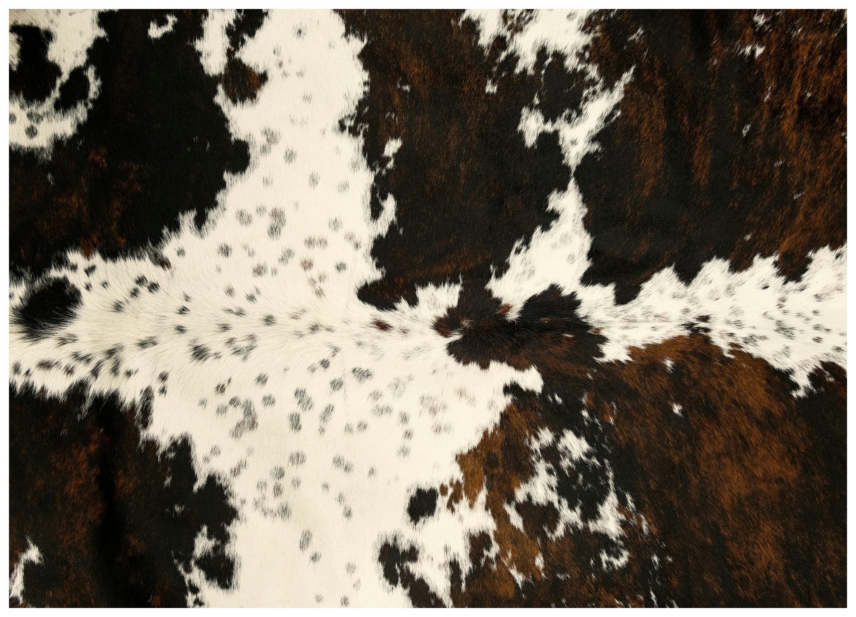 Cowhide Poster (50x70 cm) -  Bilder mit Tiermotiven