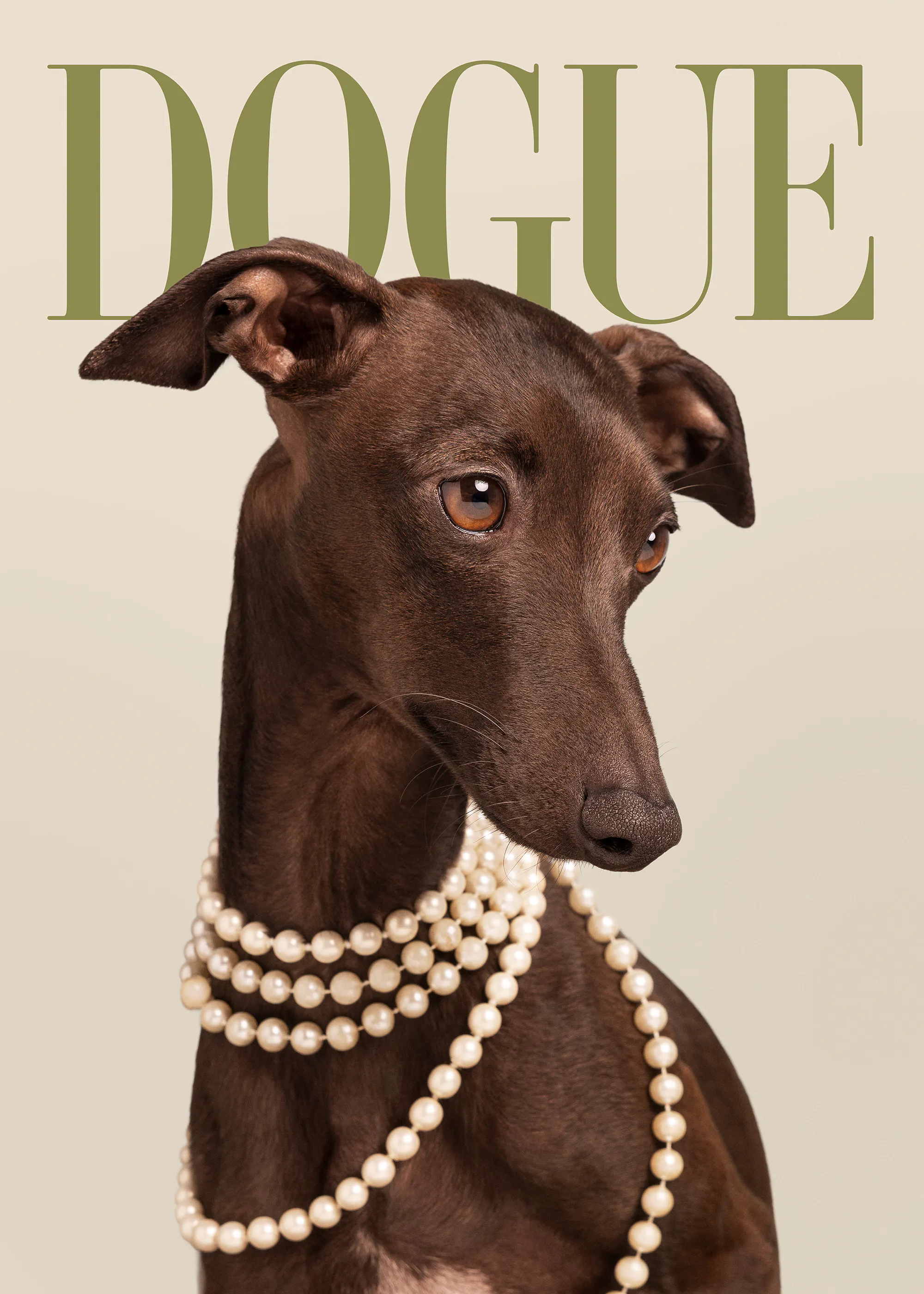 Dogue No5 Poster 0
