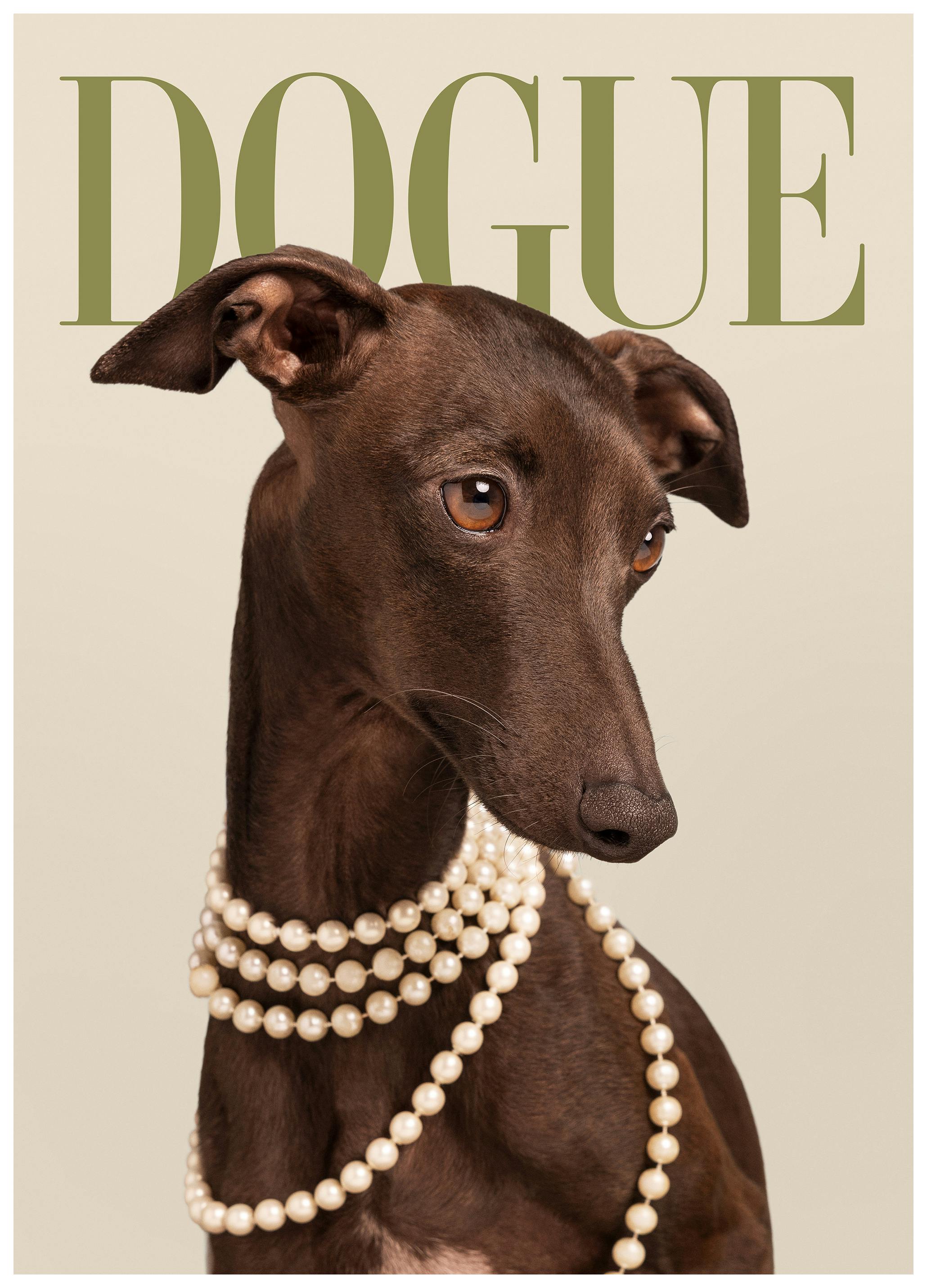 Dogue No5 Poster (21x30 cm)