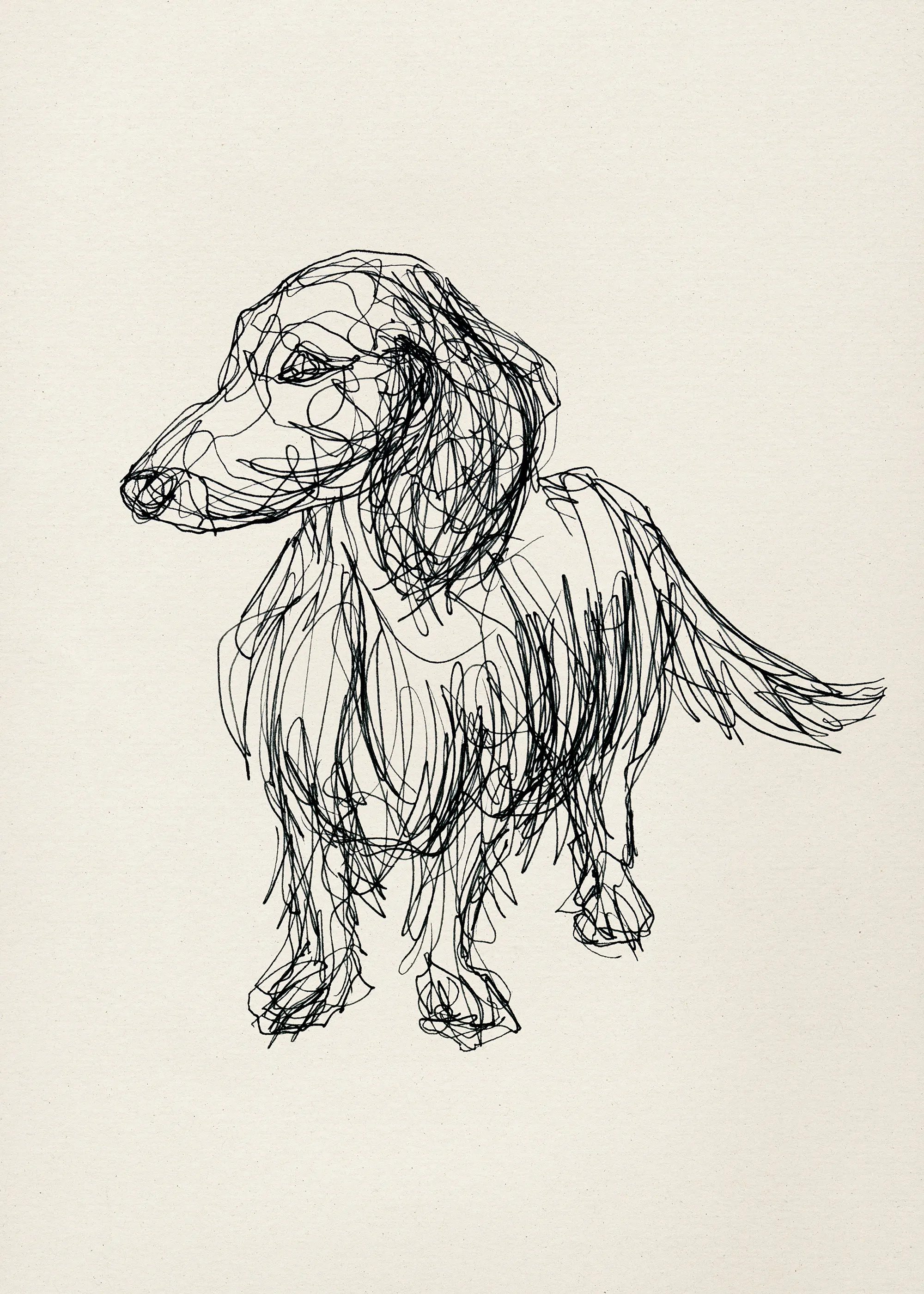 Sketchbook Dog Print 0