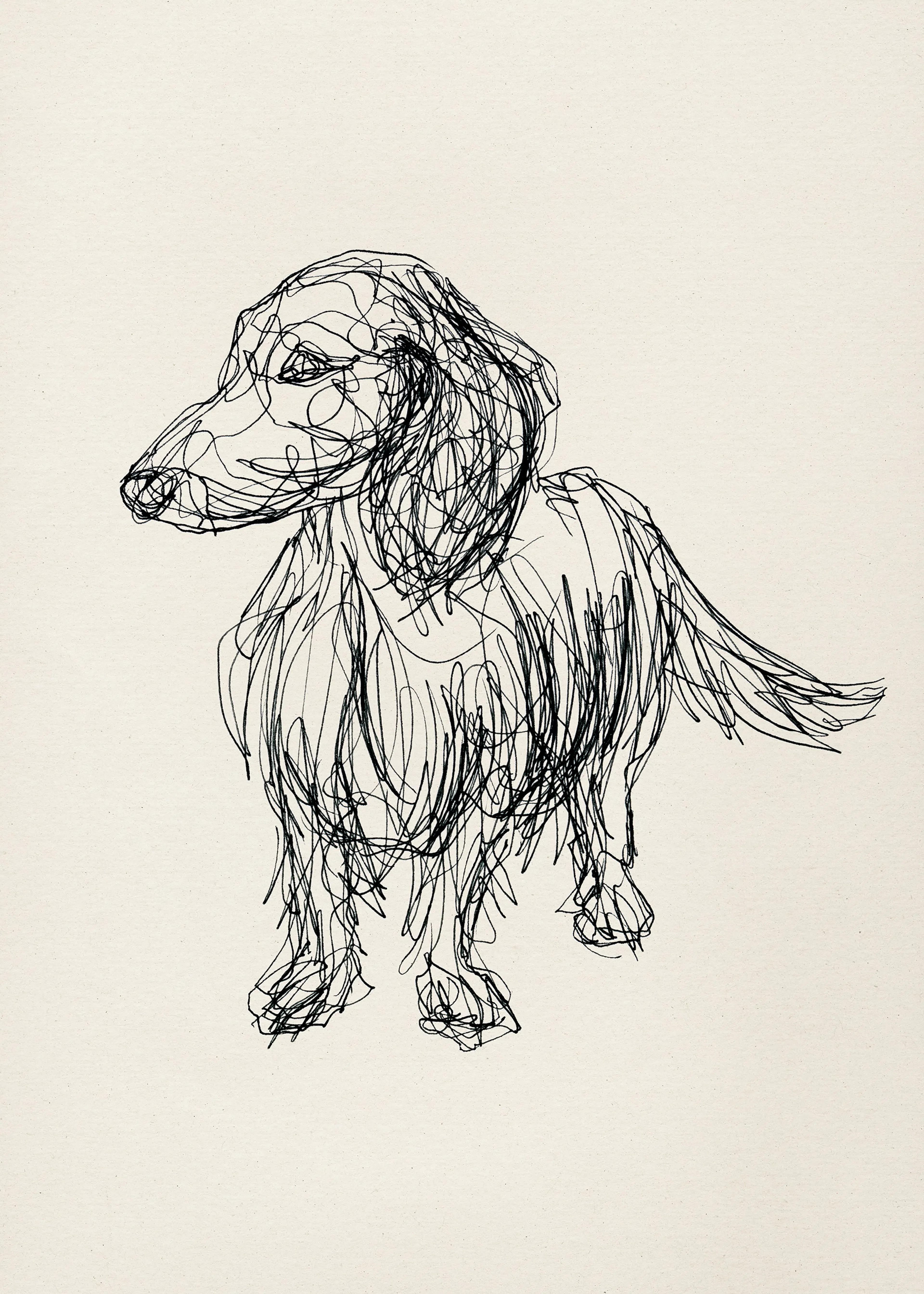 Sketchbook Dog Print 0