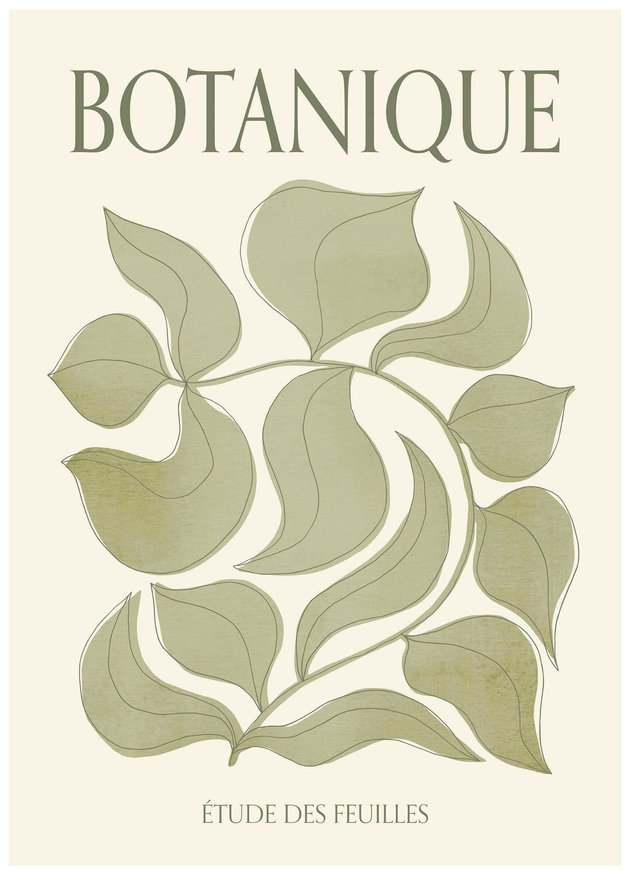 Botanique Verte Poster (30x40 cm)