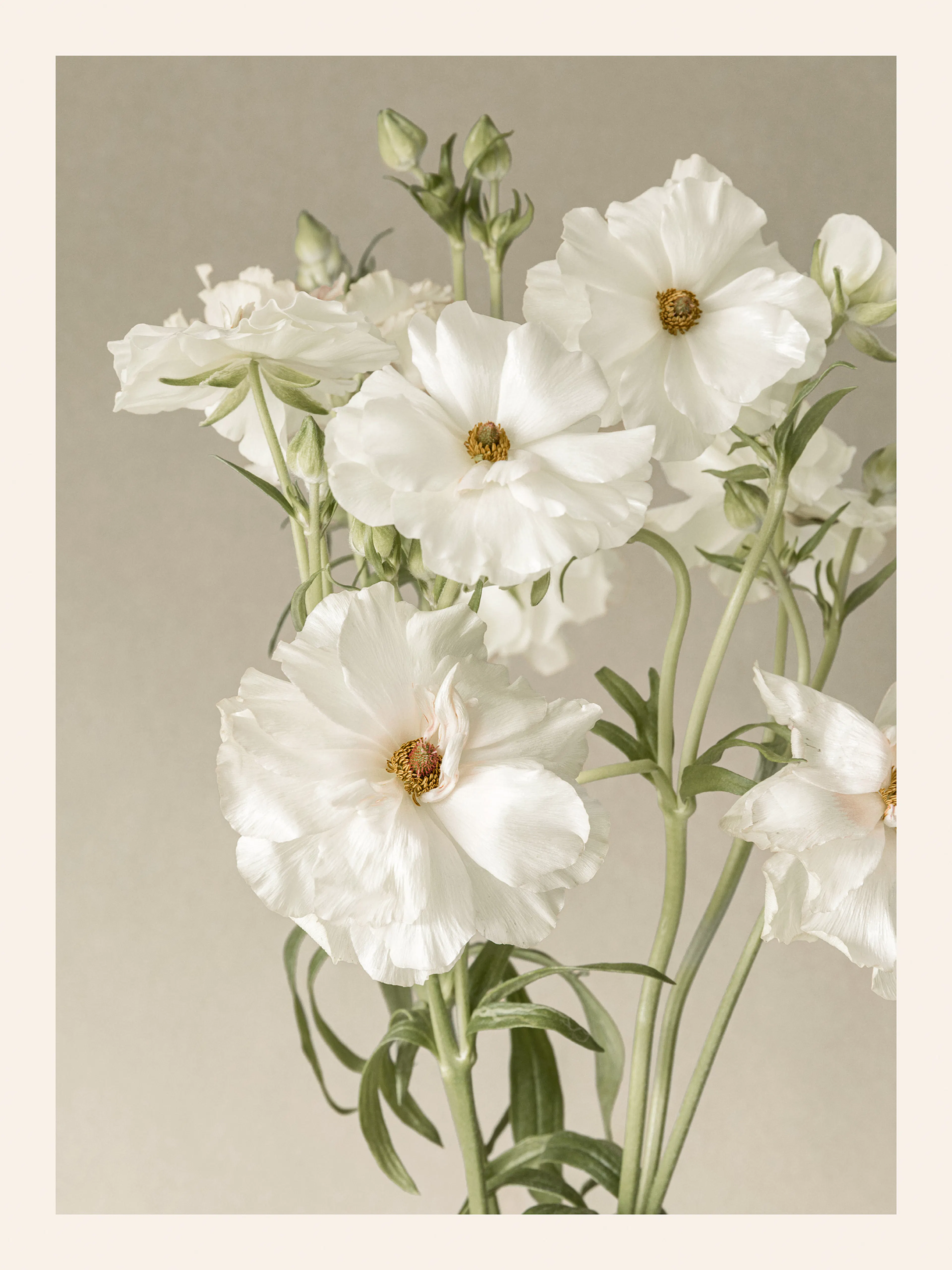 Product image: 1