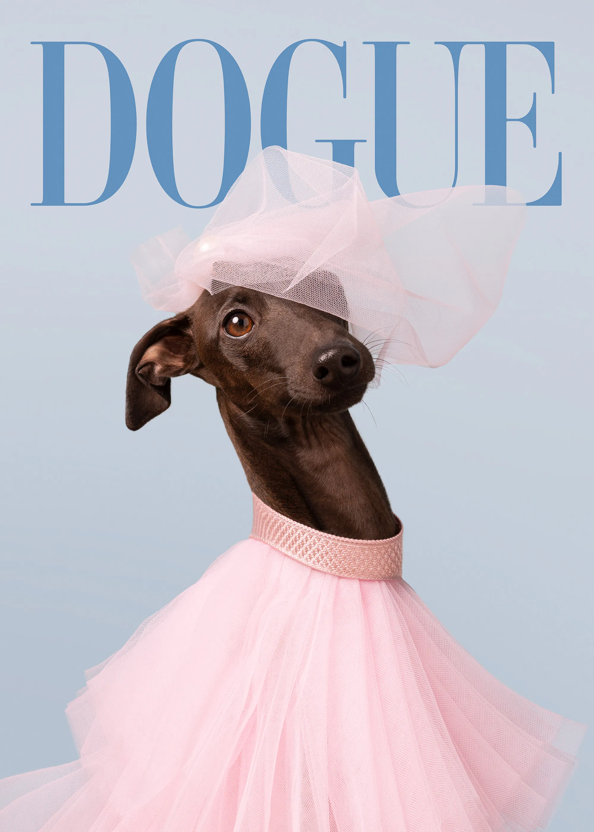 Dogue No6 Print 0