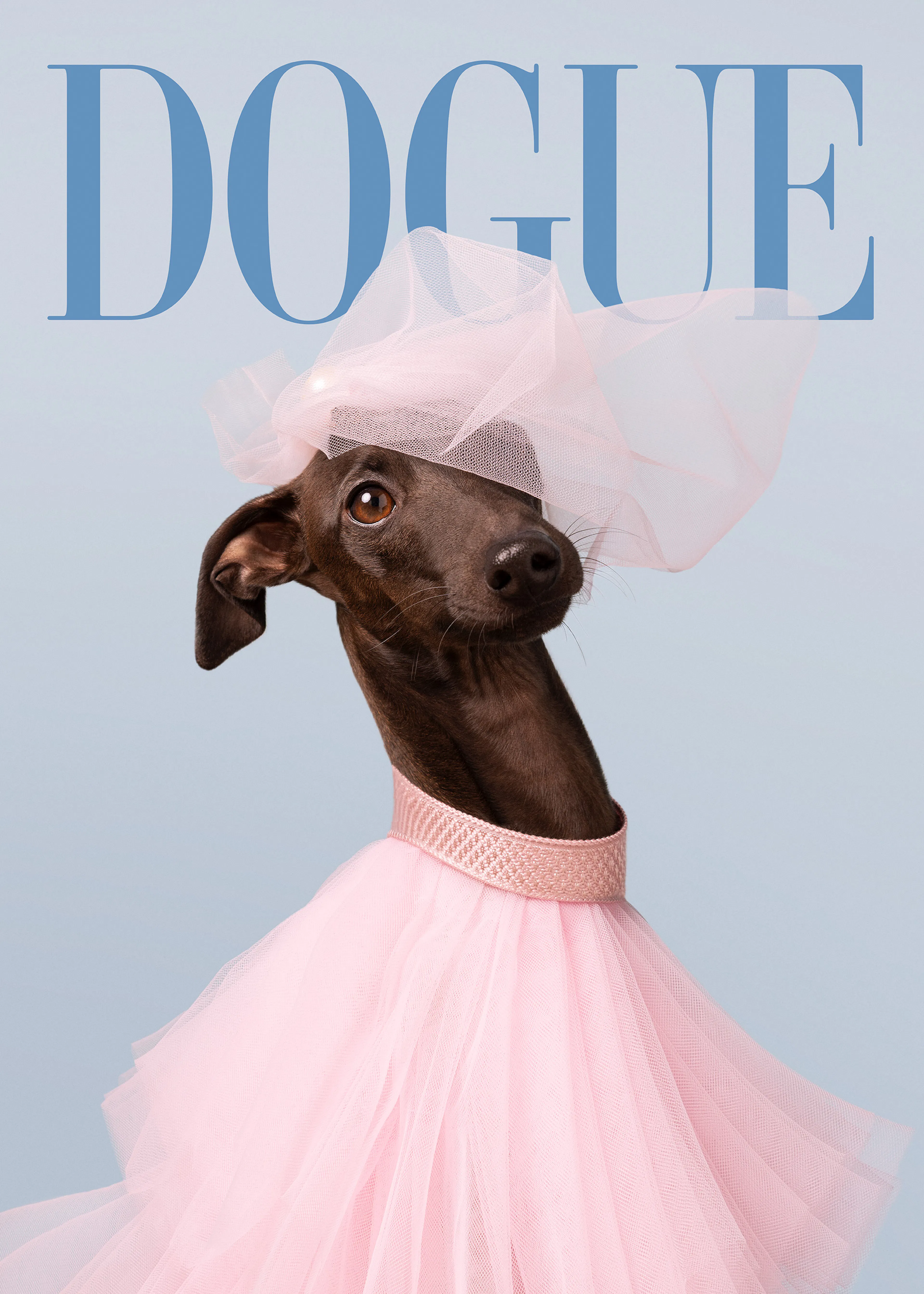 Dogue No6 Print 0