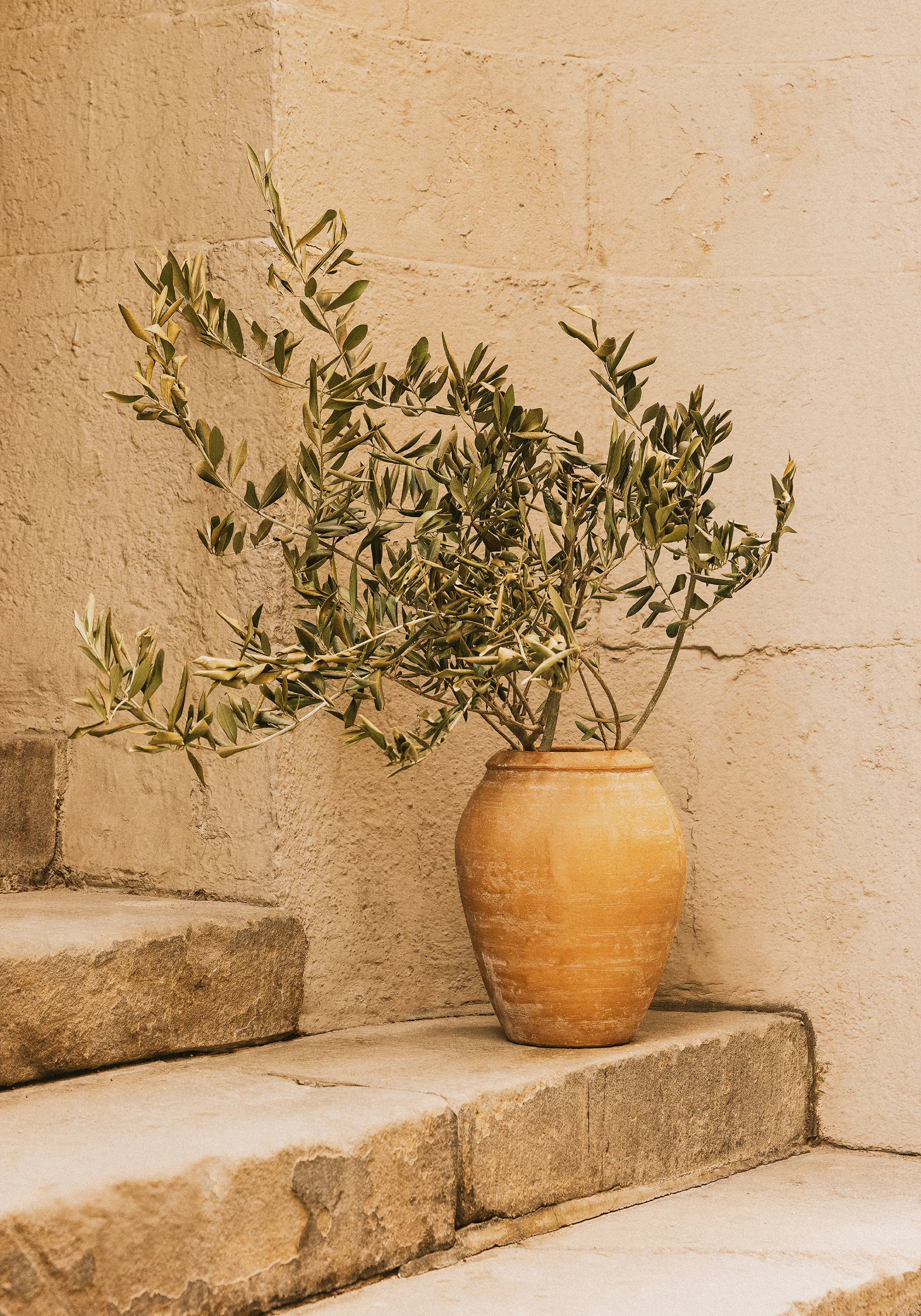 Summer Still Life Poster 0