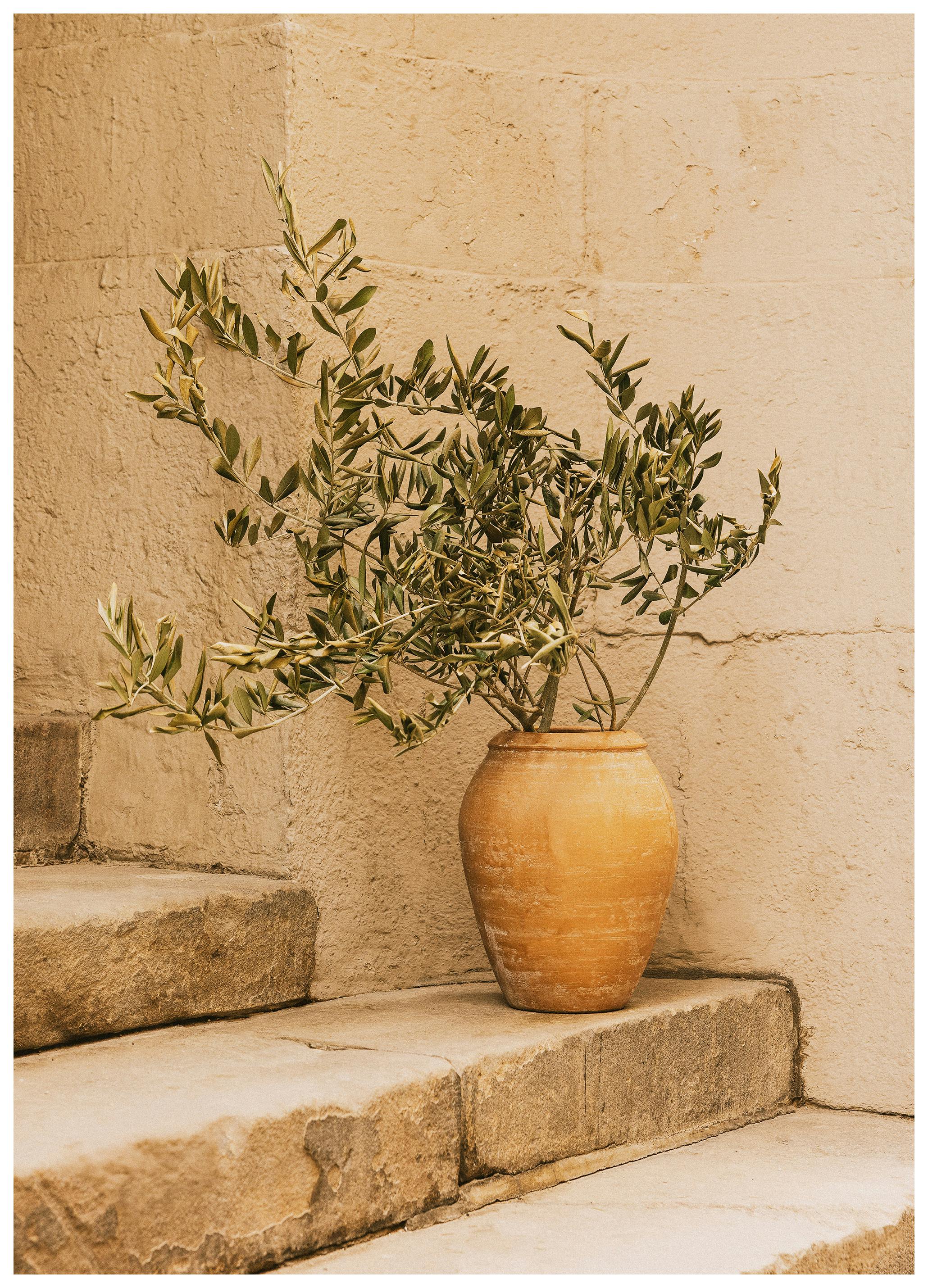 Summer Still Life Poster (100x150 cm)