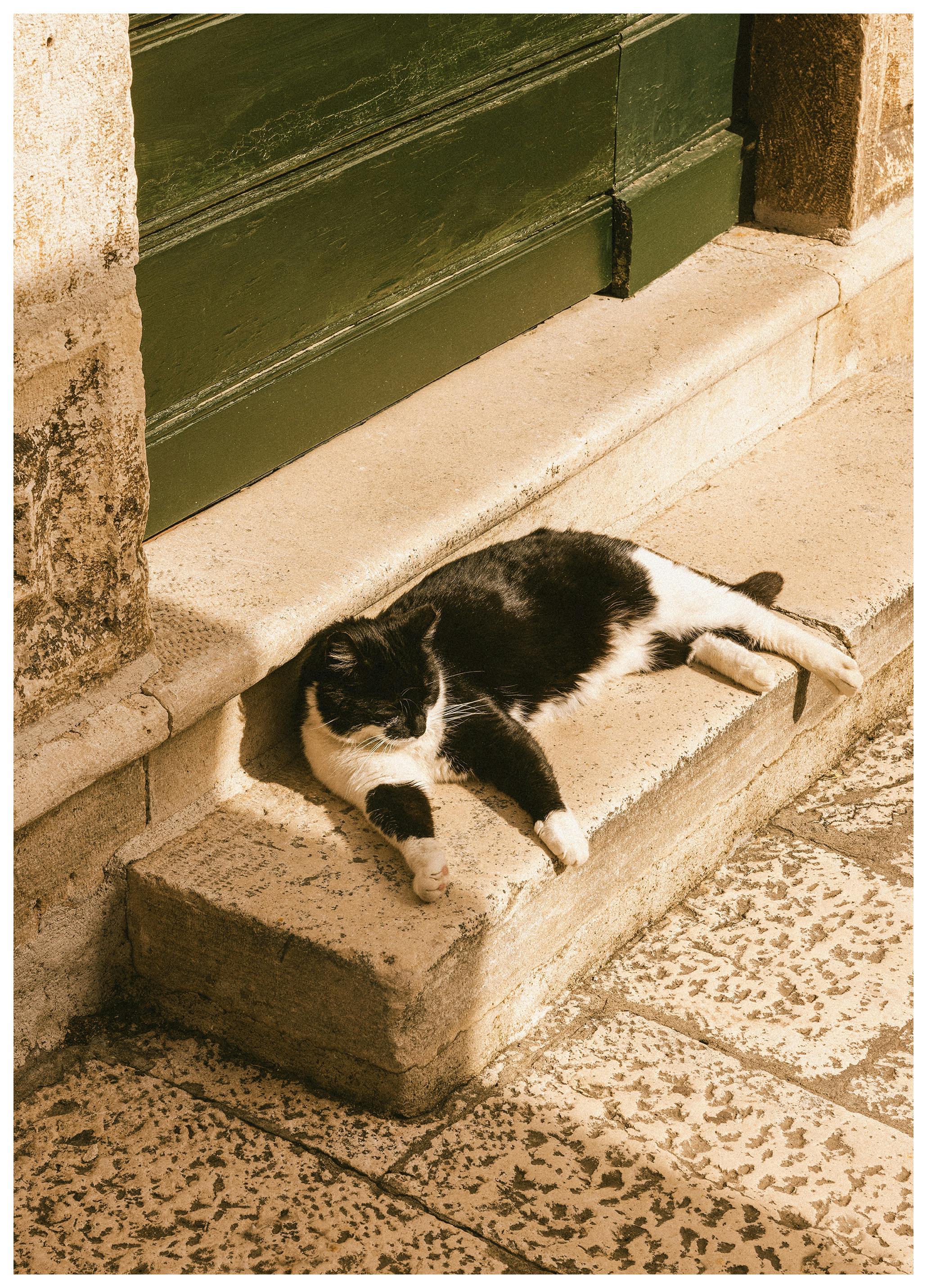 Slow Summer Poster (50x70 cm)