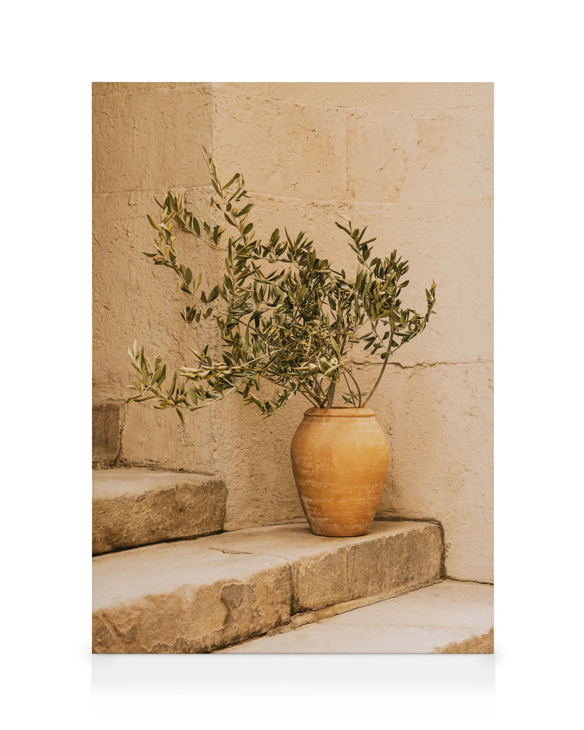 Summer Still Life Canvas print 0
