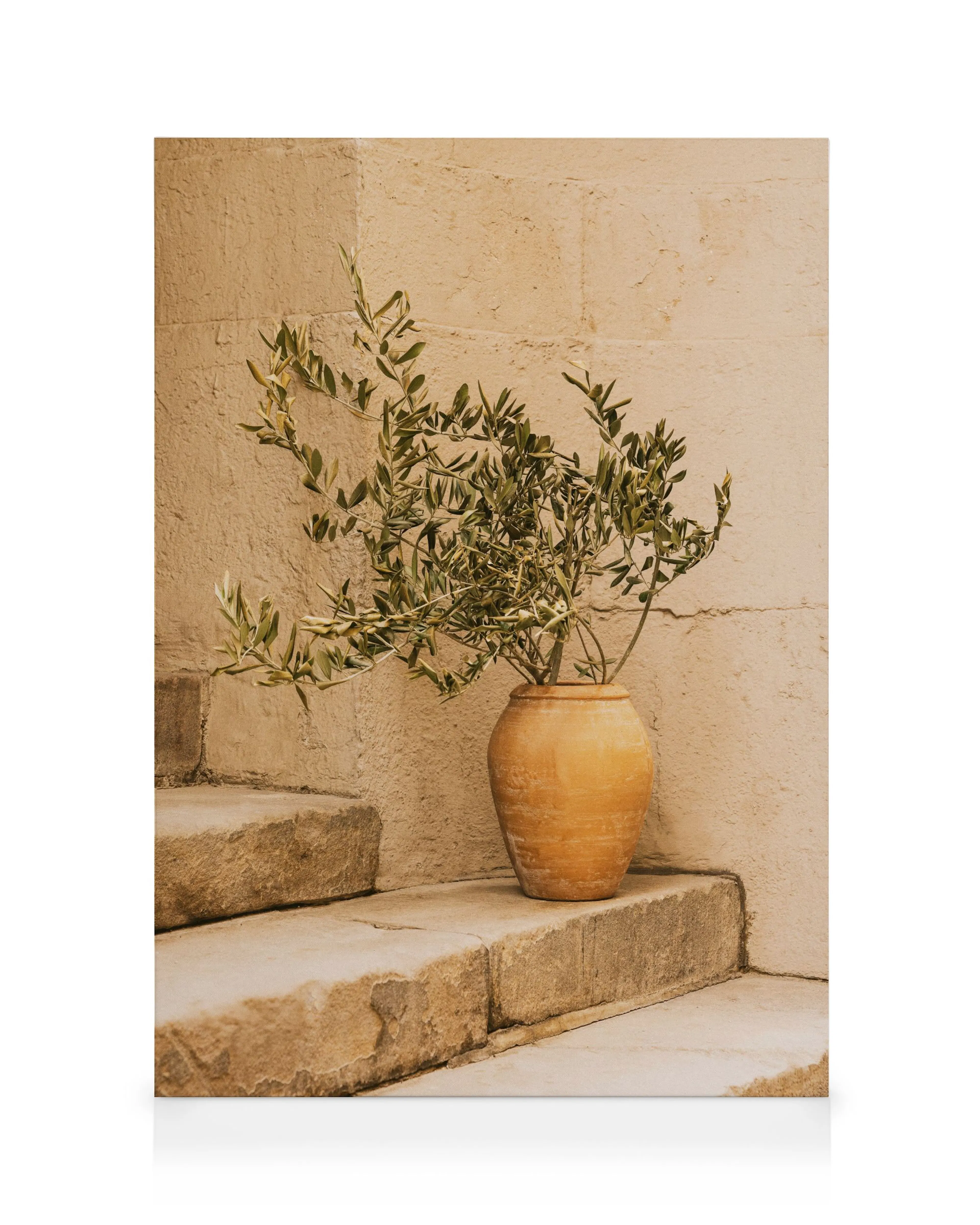 Summer Still Life Canvas print 0