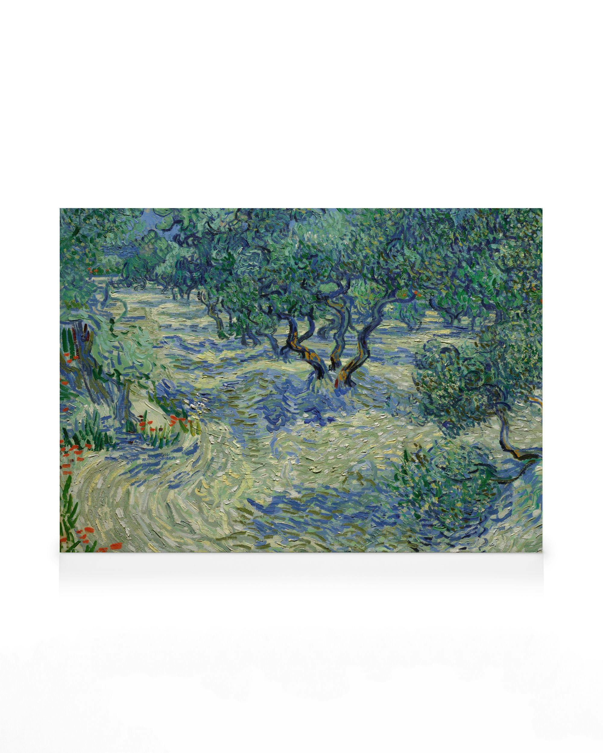 Canvas Prints Van Gogh - Olive Orchard Canvas print (70x100 cm)