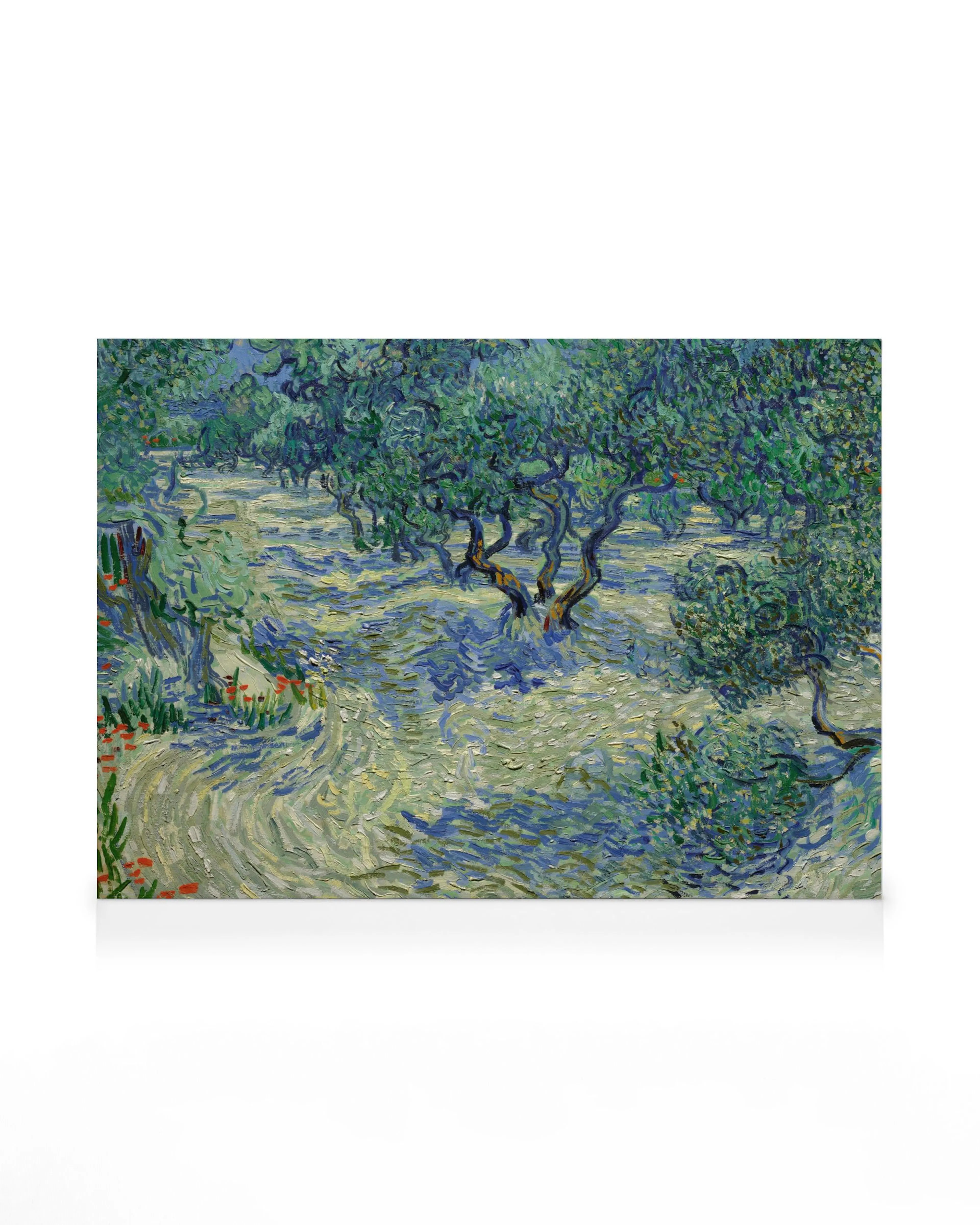 Van Gogh - Olive Orchard Canvas print 0