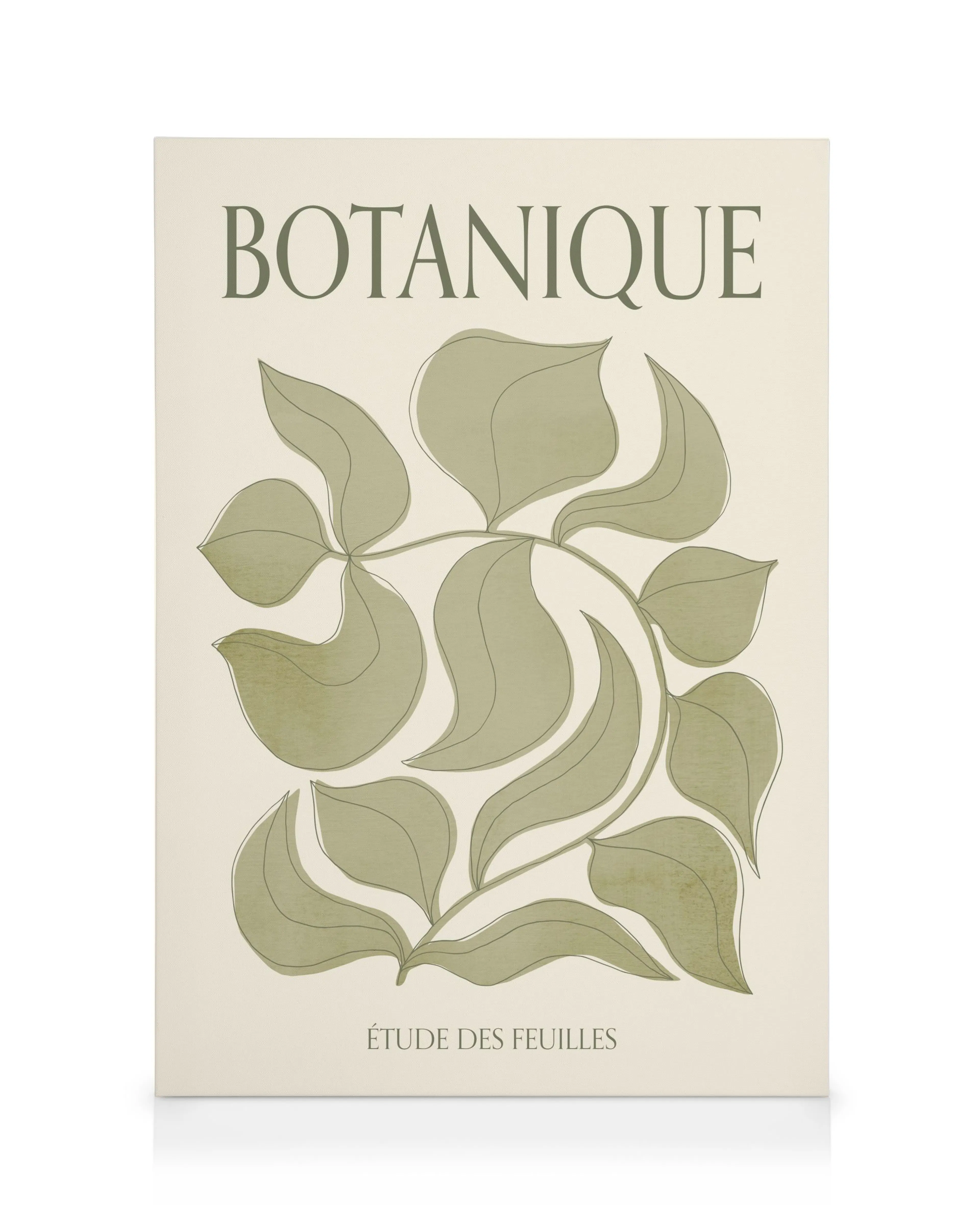 Botanique Verte Leinwandbild 0