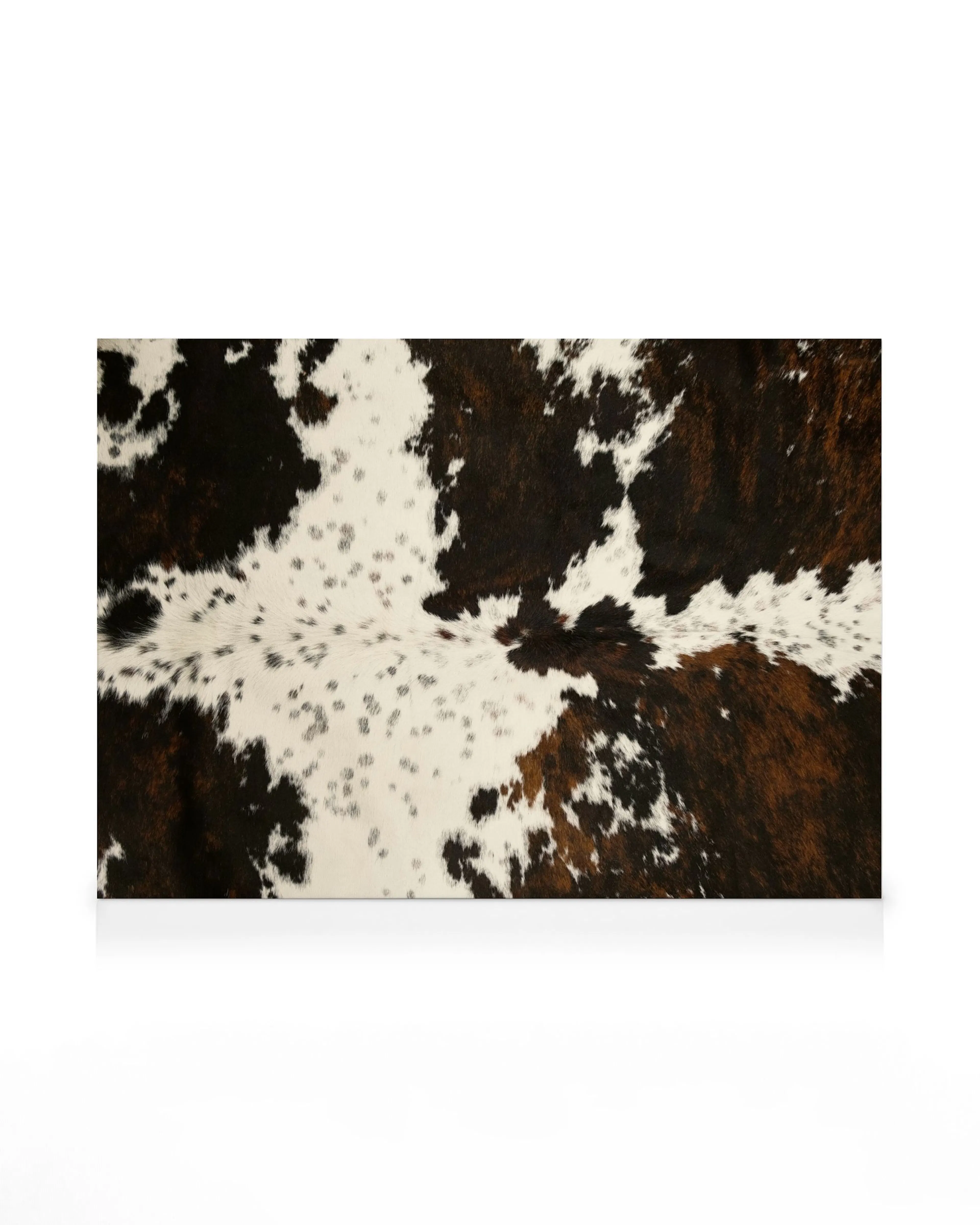Cowhide Canvas print 0