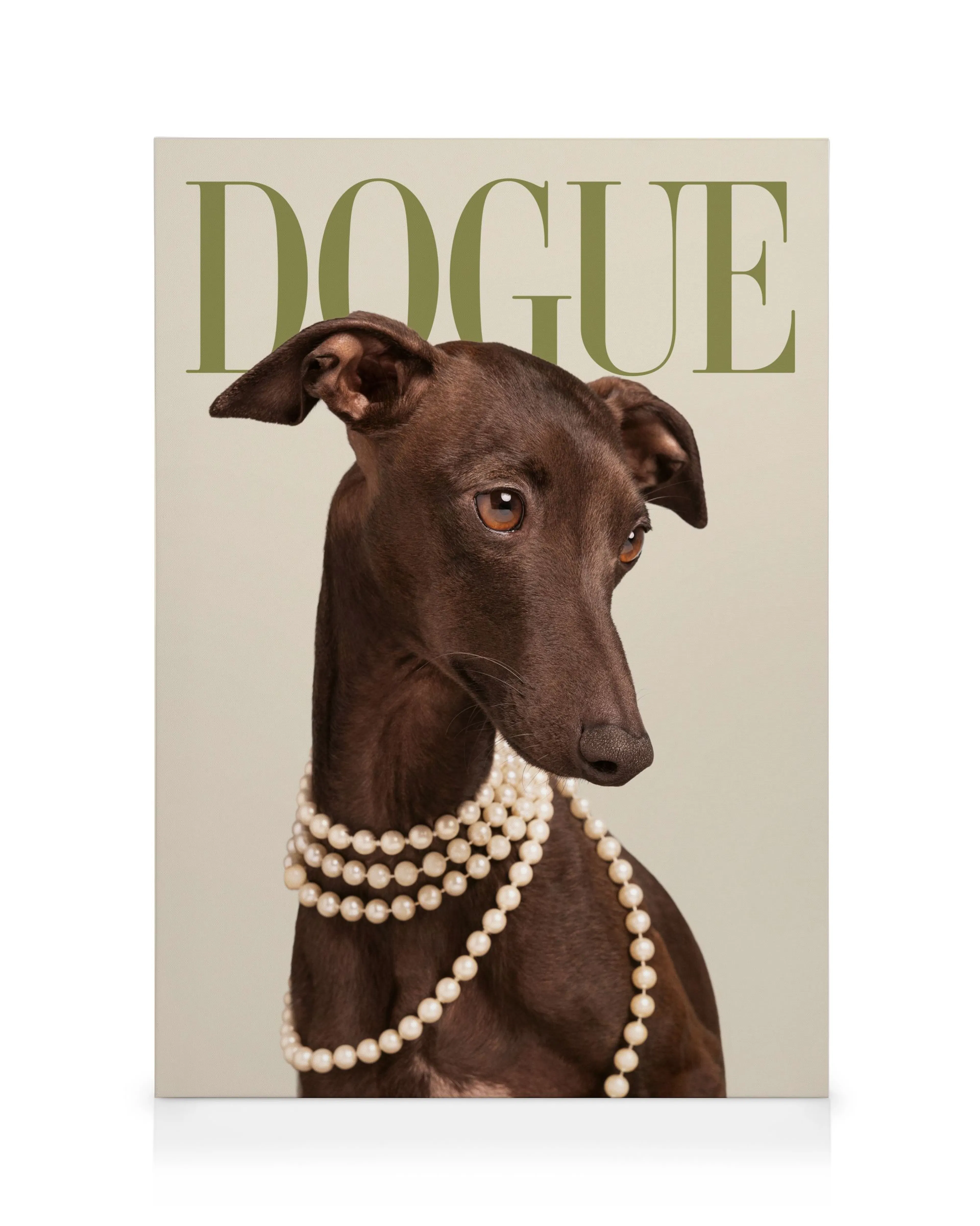Dogue No5 Canvas print 0