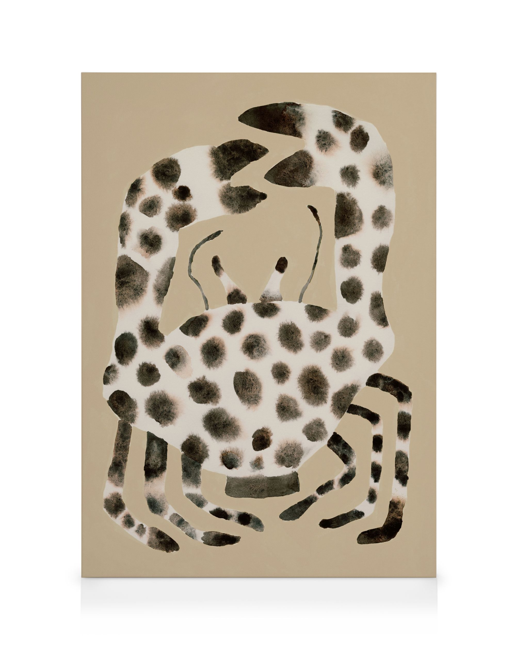 Spotted Crab Canvas
