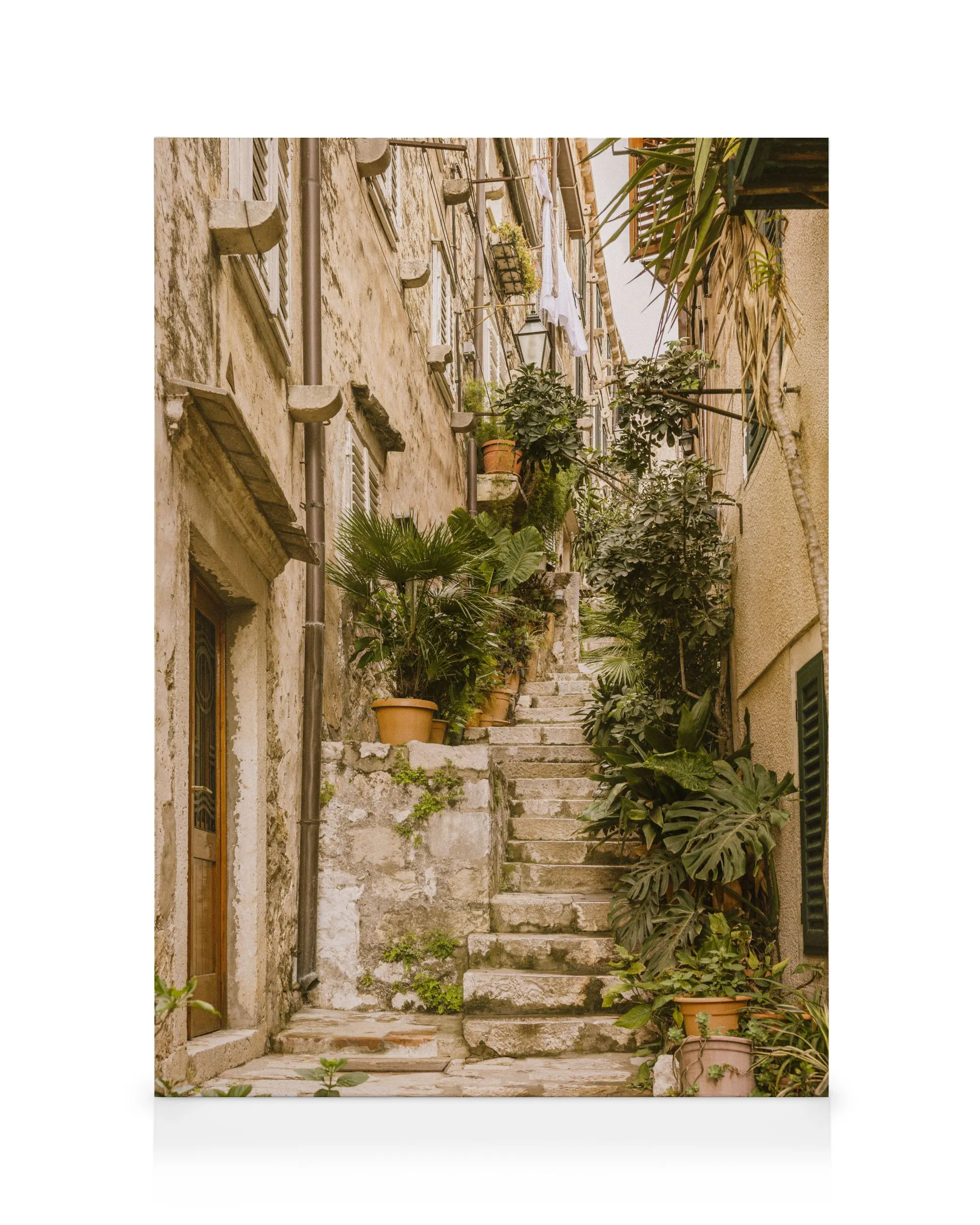 The Old Alley Canvas print 0